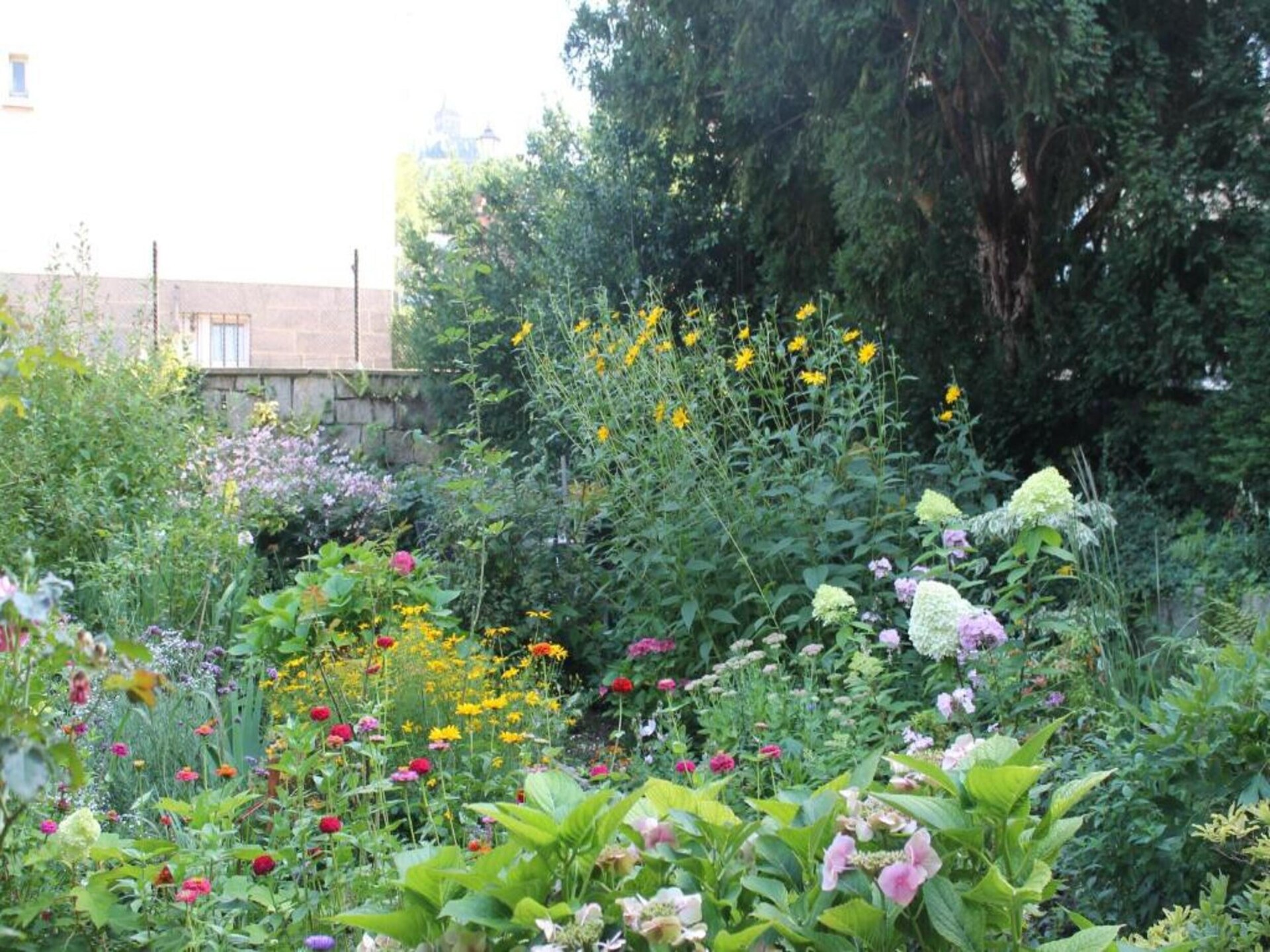 Knus vakantiehuis met serre en tuin op 2 km van centrum Wernigerode - foto 32