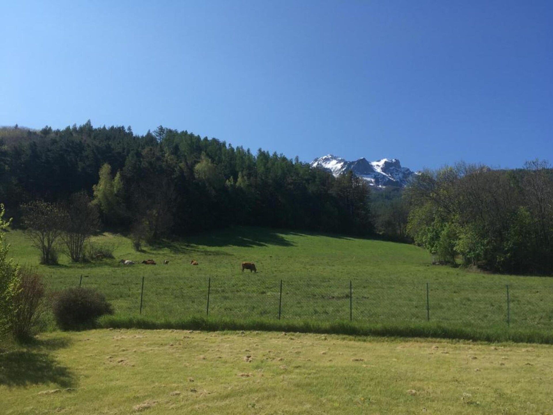 Knus chalet-appartement op vakantiepark Pra Loup 1500, hond welkom - foto 27