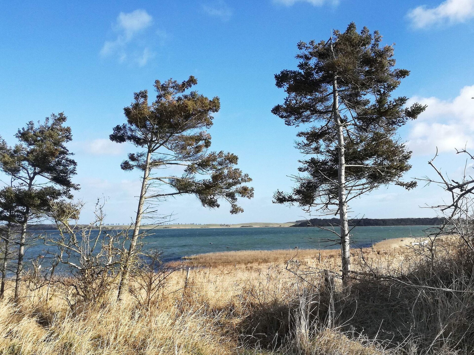 04721 - foto 12