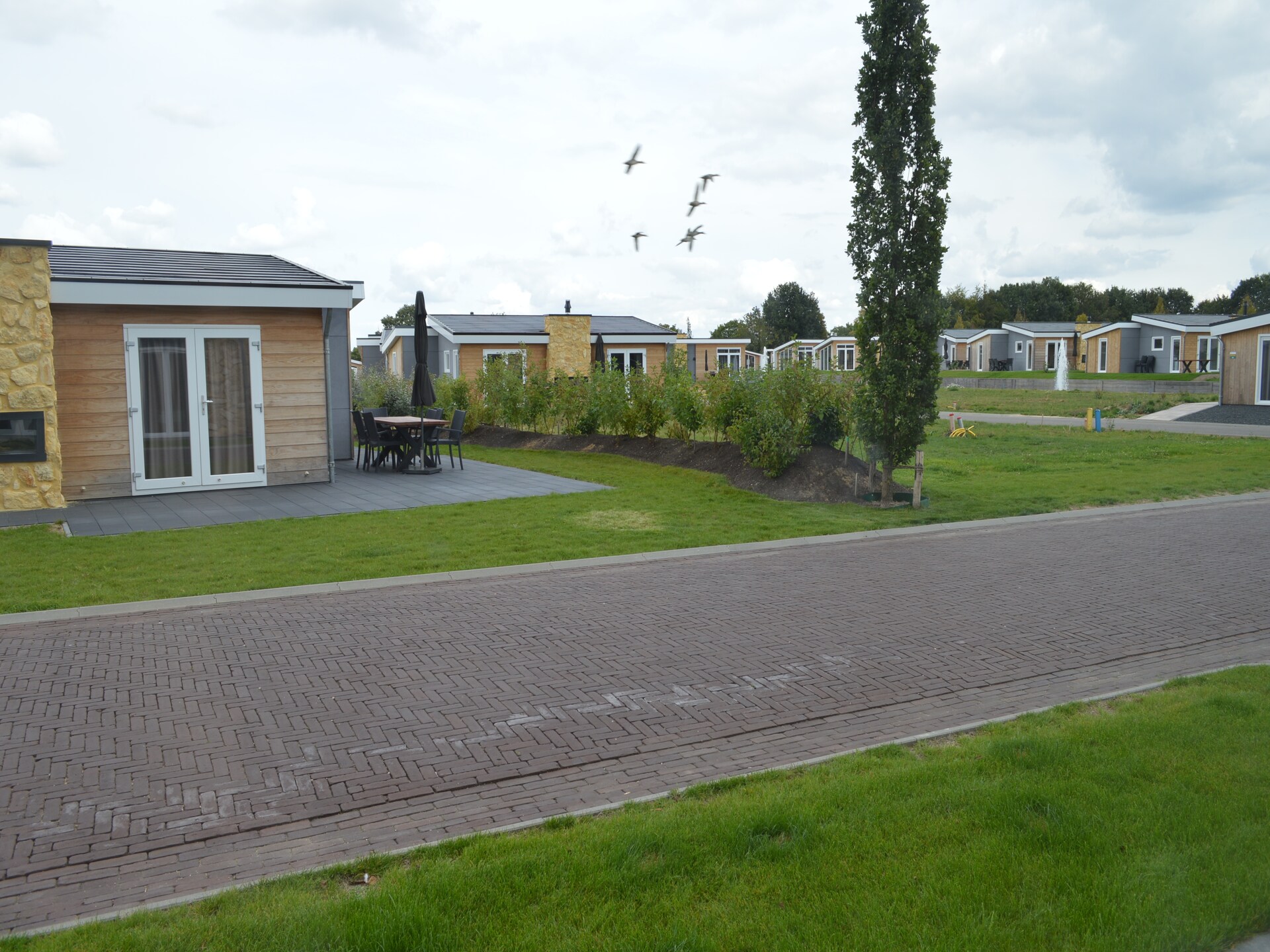 Vrijstaand groepshuis voor 12 personen op vakantiepark in heuvelachtig Zuid-Limburg - foto 31