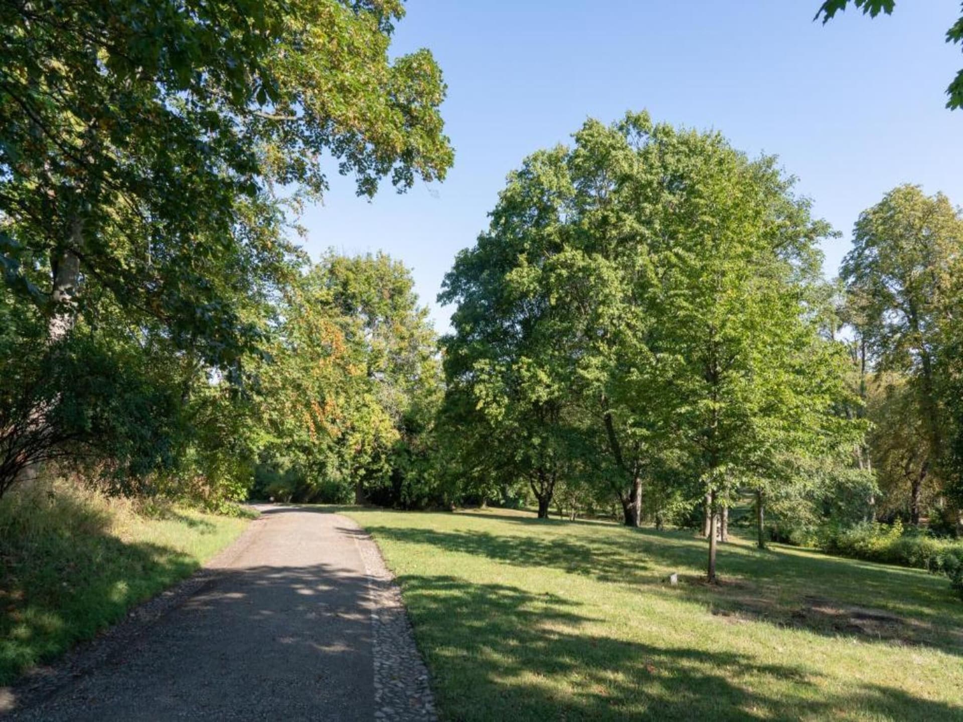 Op 1,0 km van het centrum: ruim appartement in Ballenstedt - foto 28