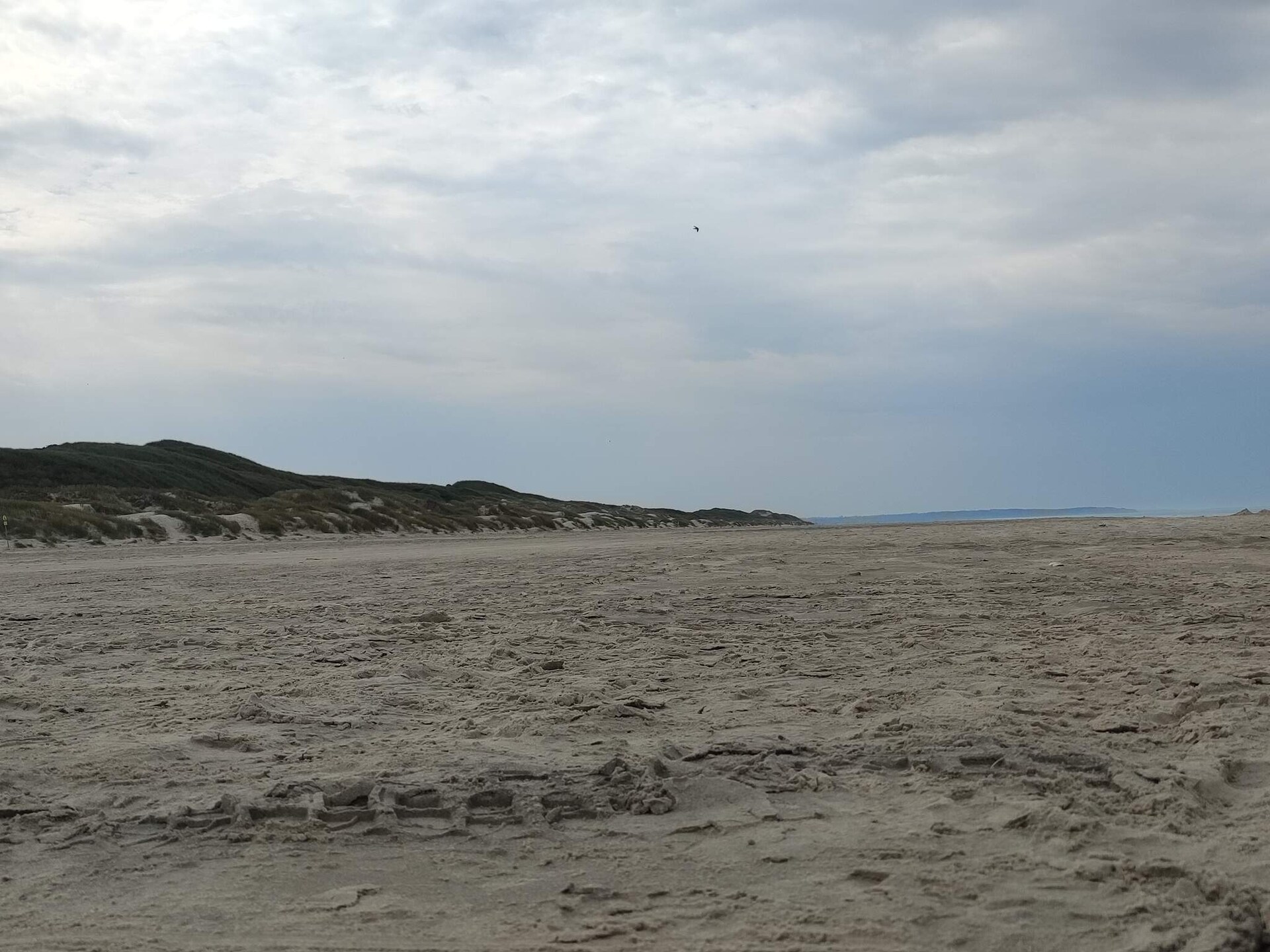Licht vakantiehuis met zuidterras op 600m van de Noordzeekust in Rødhus - foto 9