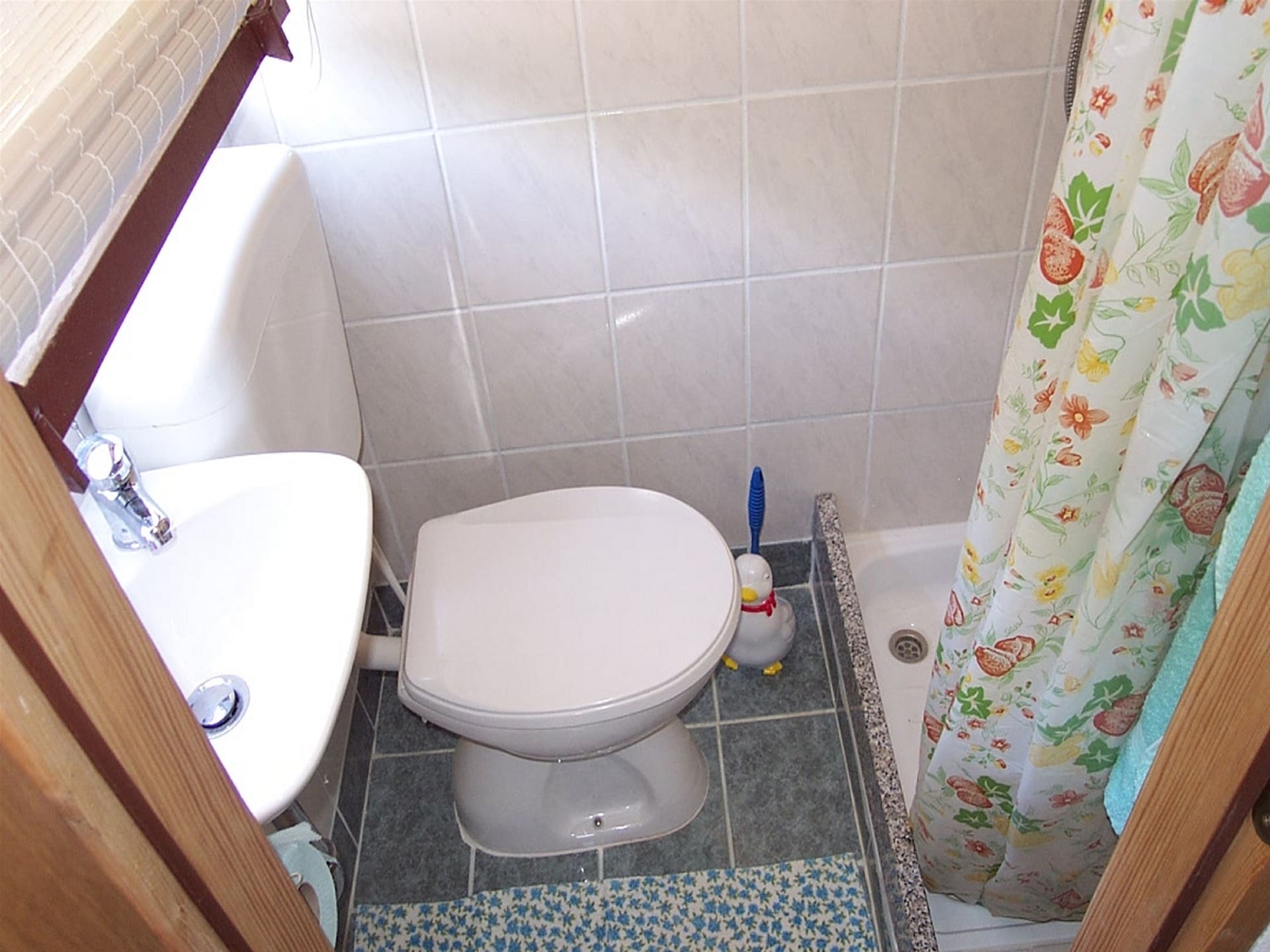Bozac: ruim appartement met gedeeld zwembad in Istrië voor 6 personen - foto 16