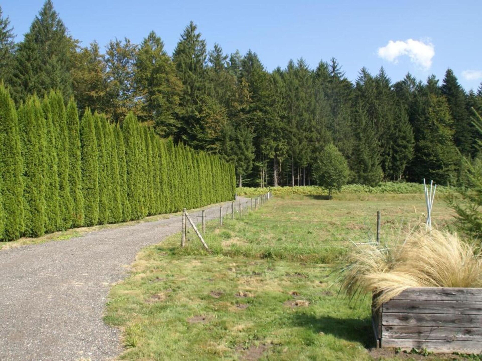 Vrijstaand vakantiehuis met tuin in Saint-Quirin, op 200m van het centrum - foto 34