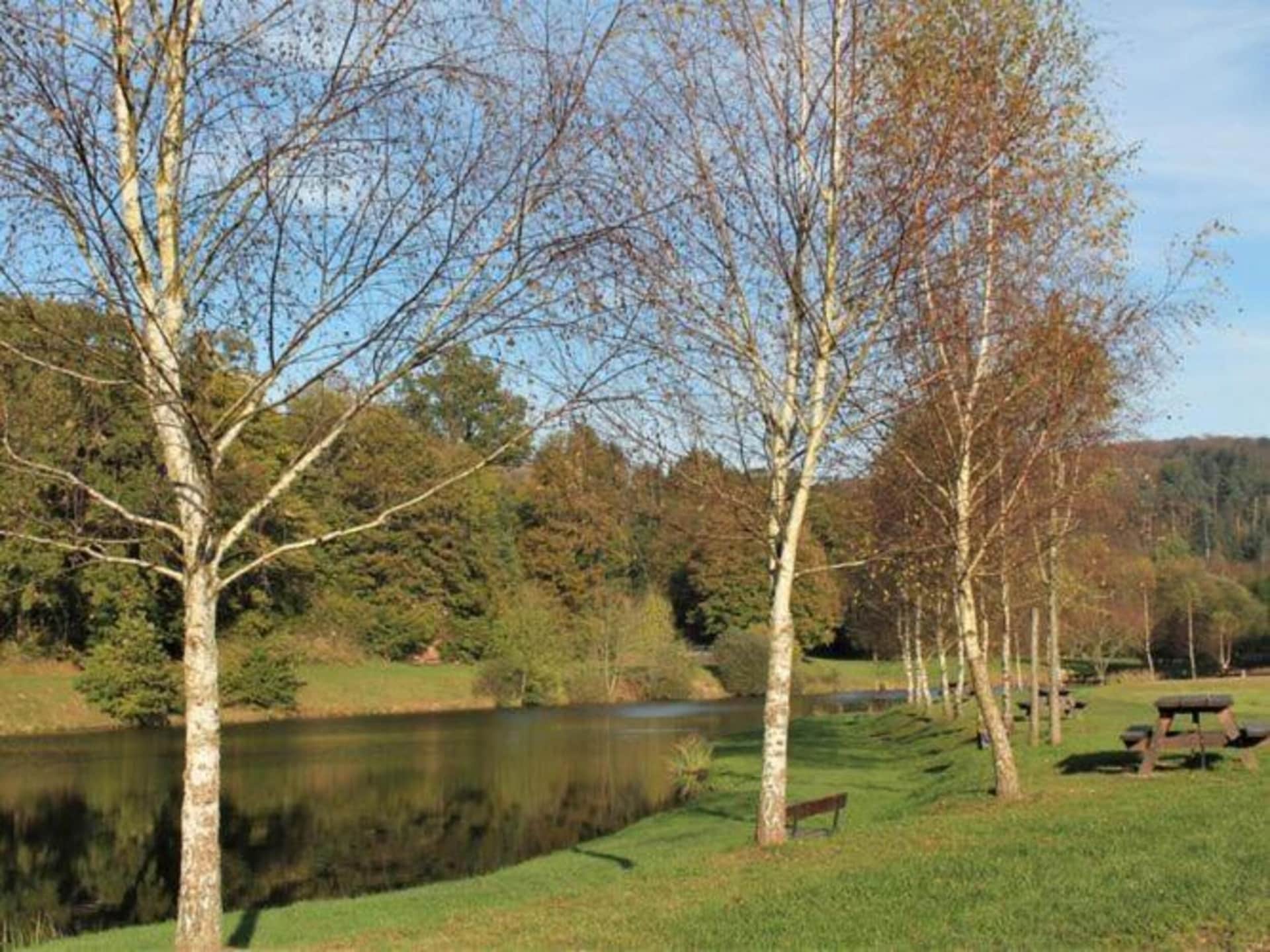 Vrijstaand vakantiehuis met tuin in Saint-Quirin, op 200m van het centrum - foto 33