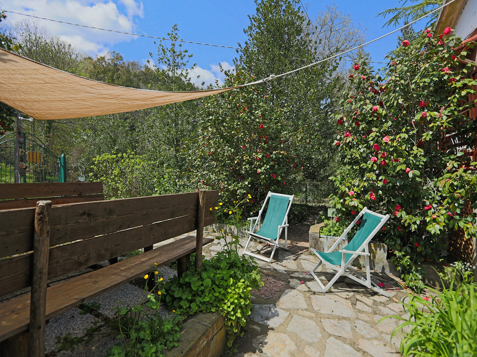 Op 1,0 km van het centrum: charmant vakantiehuis in Sassetta - foto 17