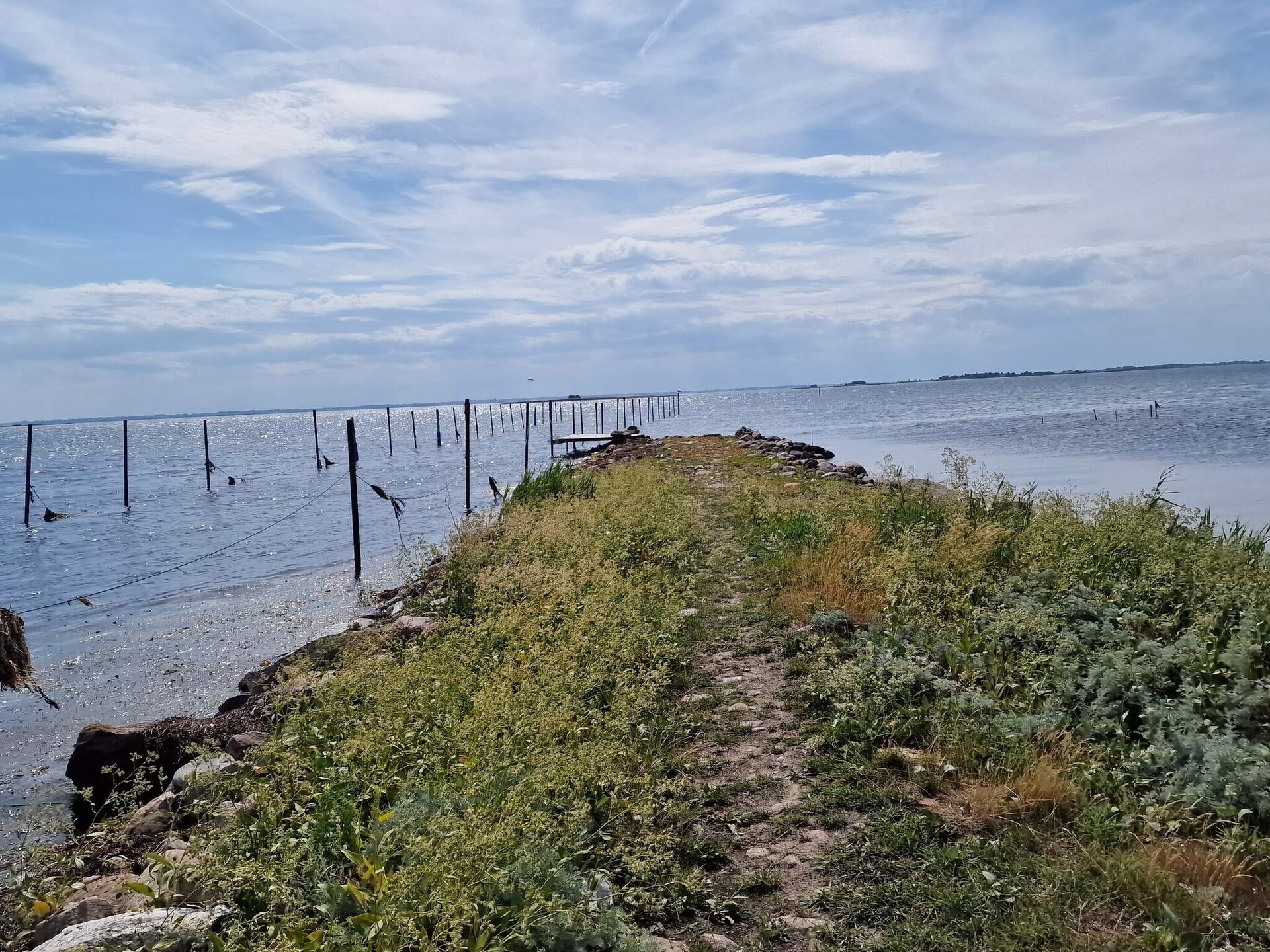 Ruim vakantiehuis op 80 meter van zee met panoramisch waterzicht bij Svendborg - foto 11