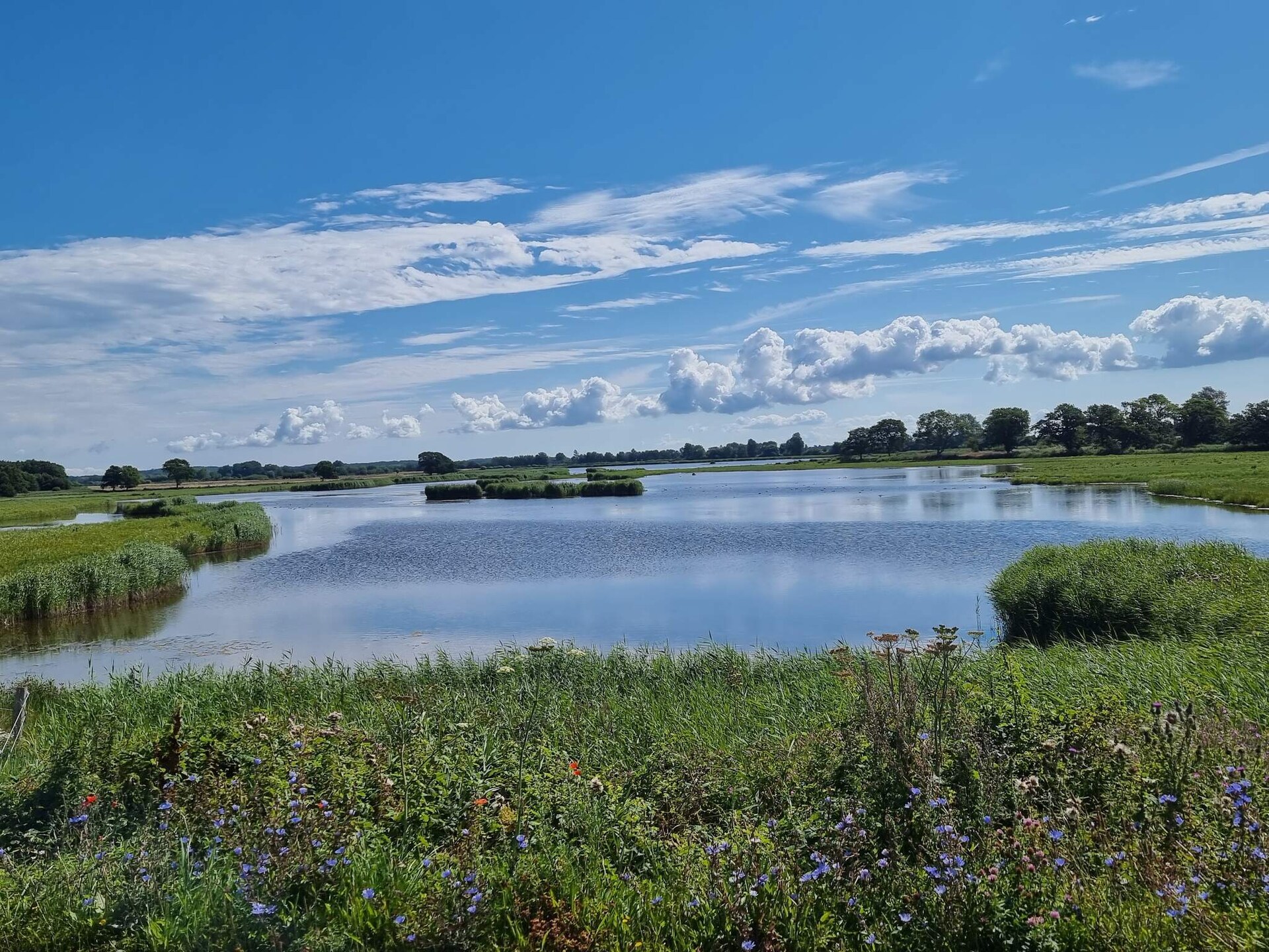Ruim vakantiehuis op 80 meter van zee met panoramisch waterzicht bij Svendborg - foto 13