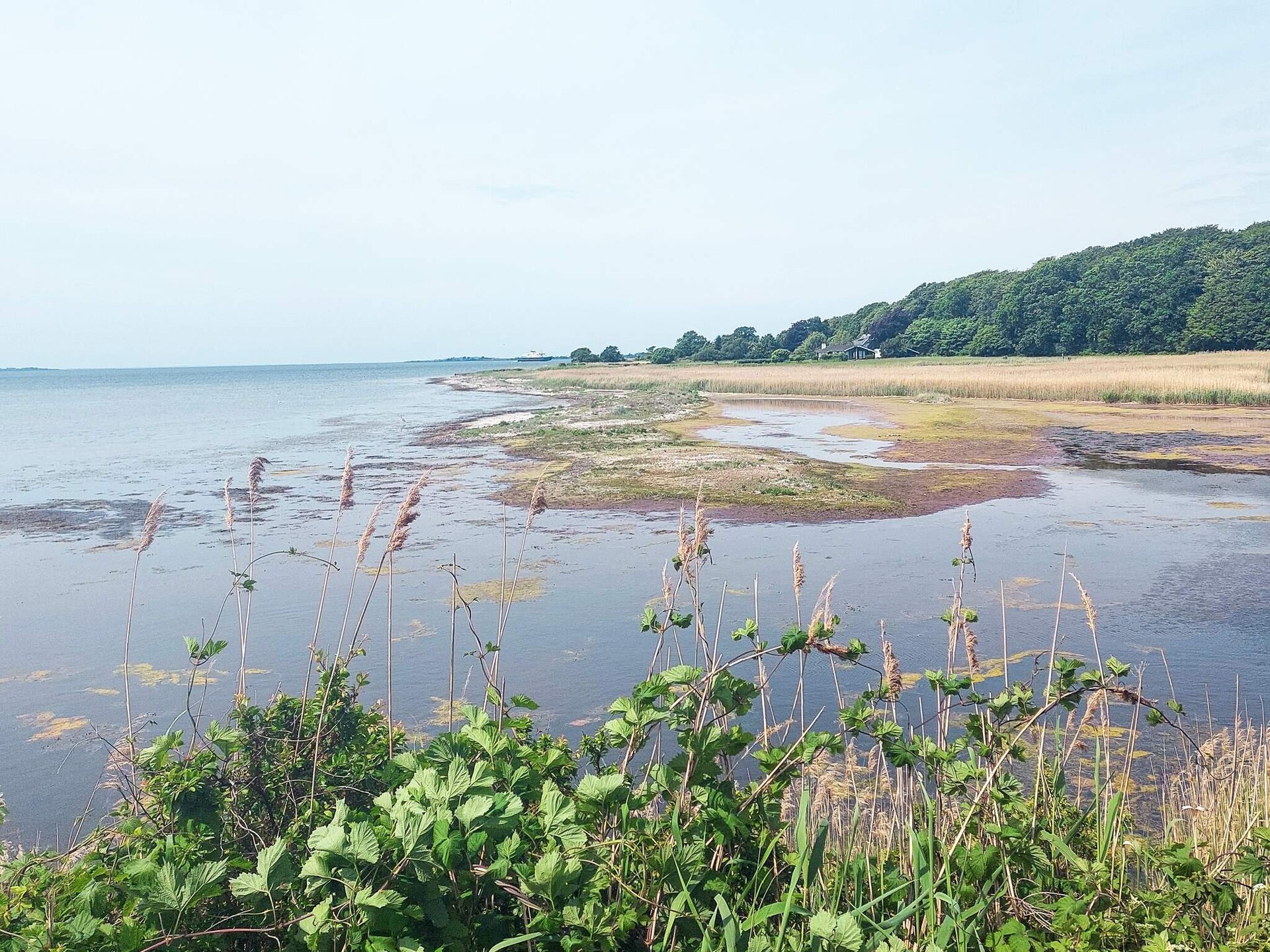 Aan zee: Ruim vakantiehuis in Svendborg voor 8 personen - foto 42