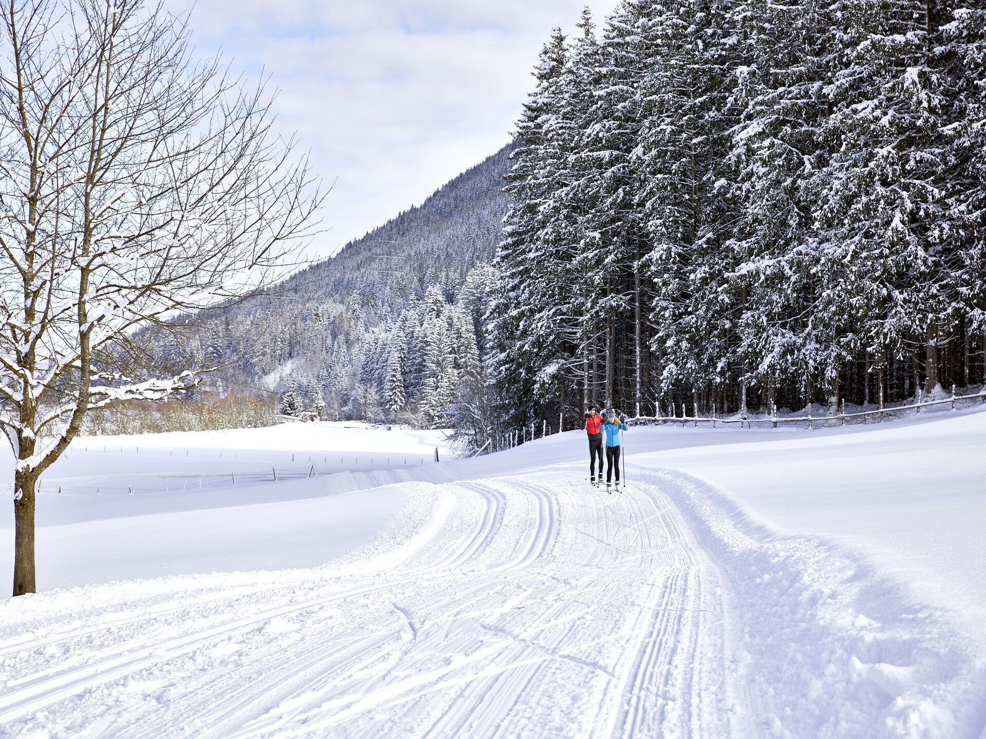 Op 300 m van de piste: Luxe chalet met privézwembad in Neukirchen - foto 39