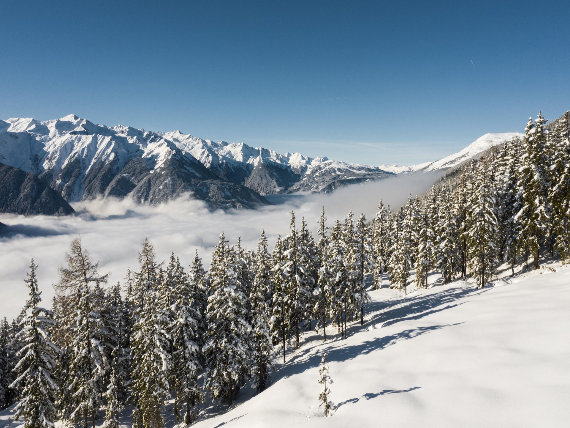 Op 300 m van de piste: Luxe chalet met privézwembad in Neukirchen - foto 37