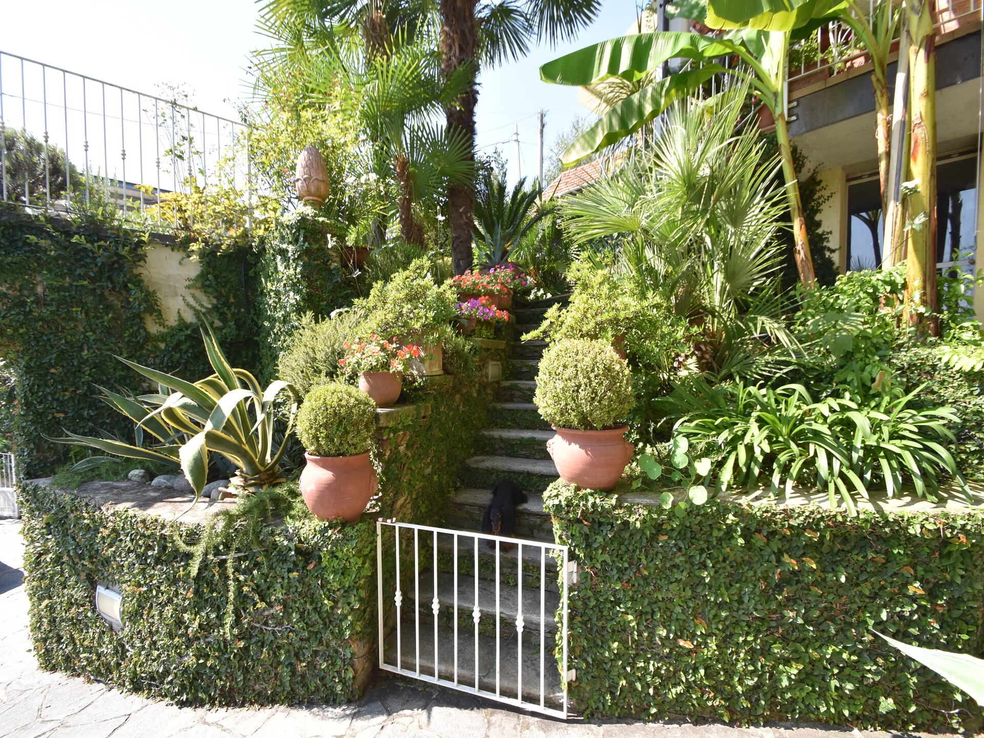 Knus vakantiehuis voor 2 bij het Lago Maggiore met eigen tuin - foto 4