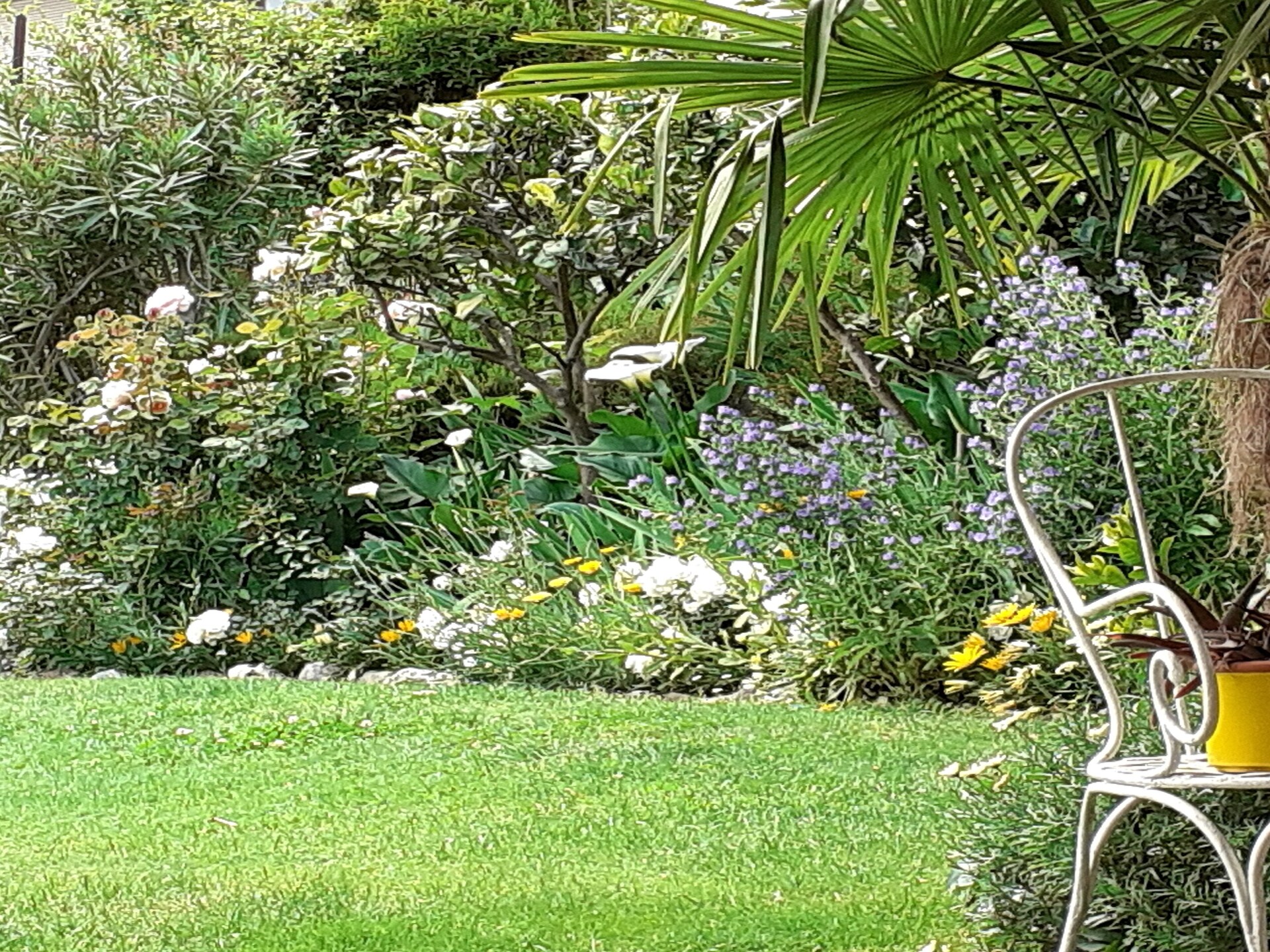 Knus vakantiehuis voor 2 bij het Lago Maggiore met eigen tuin - foto 18