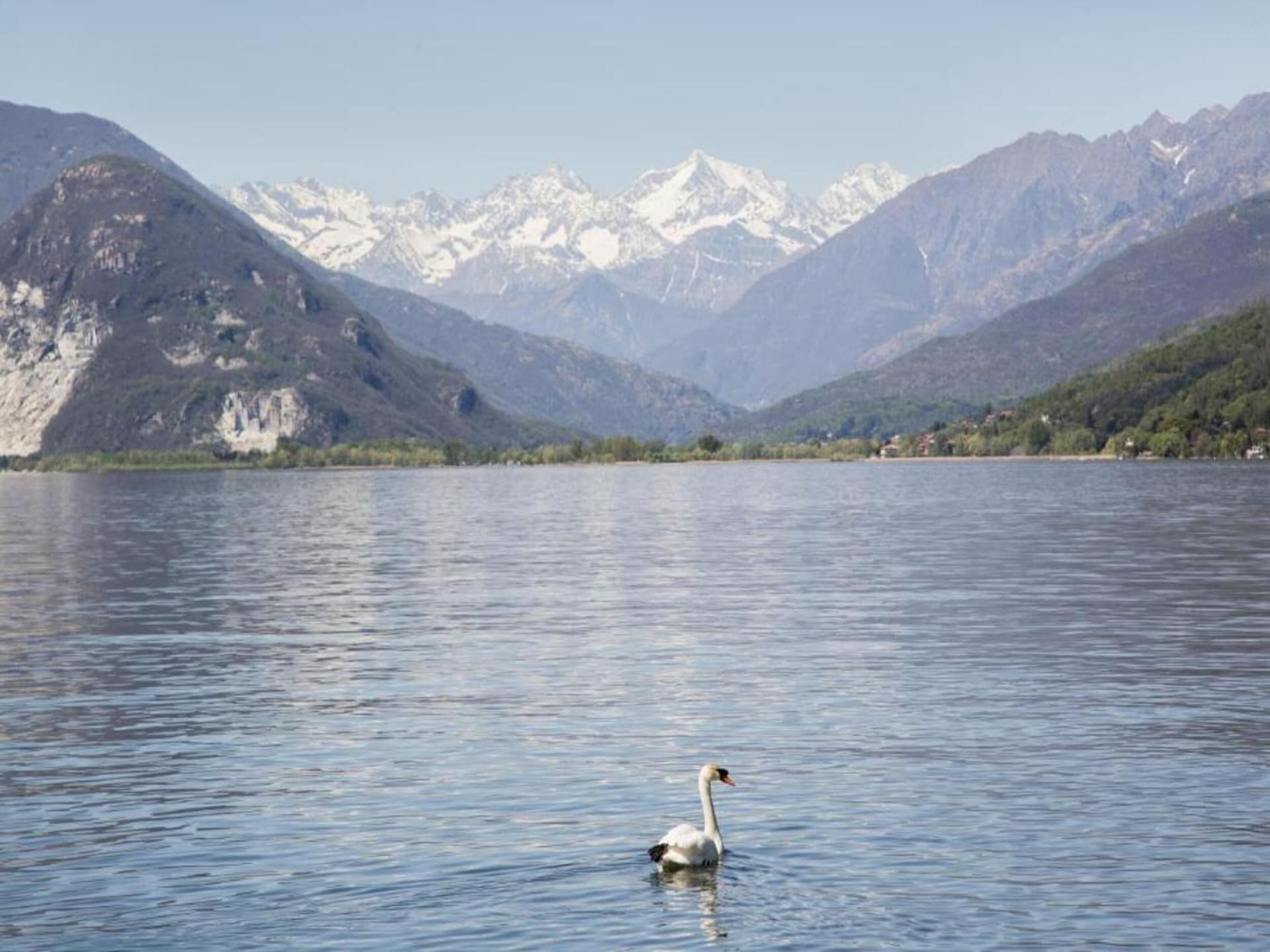 Knus vakantiehuis voor 2 bij het Lago Maggiore met eigen tuin - foto 22