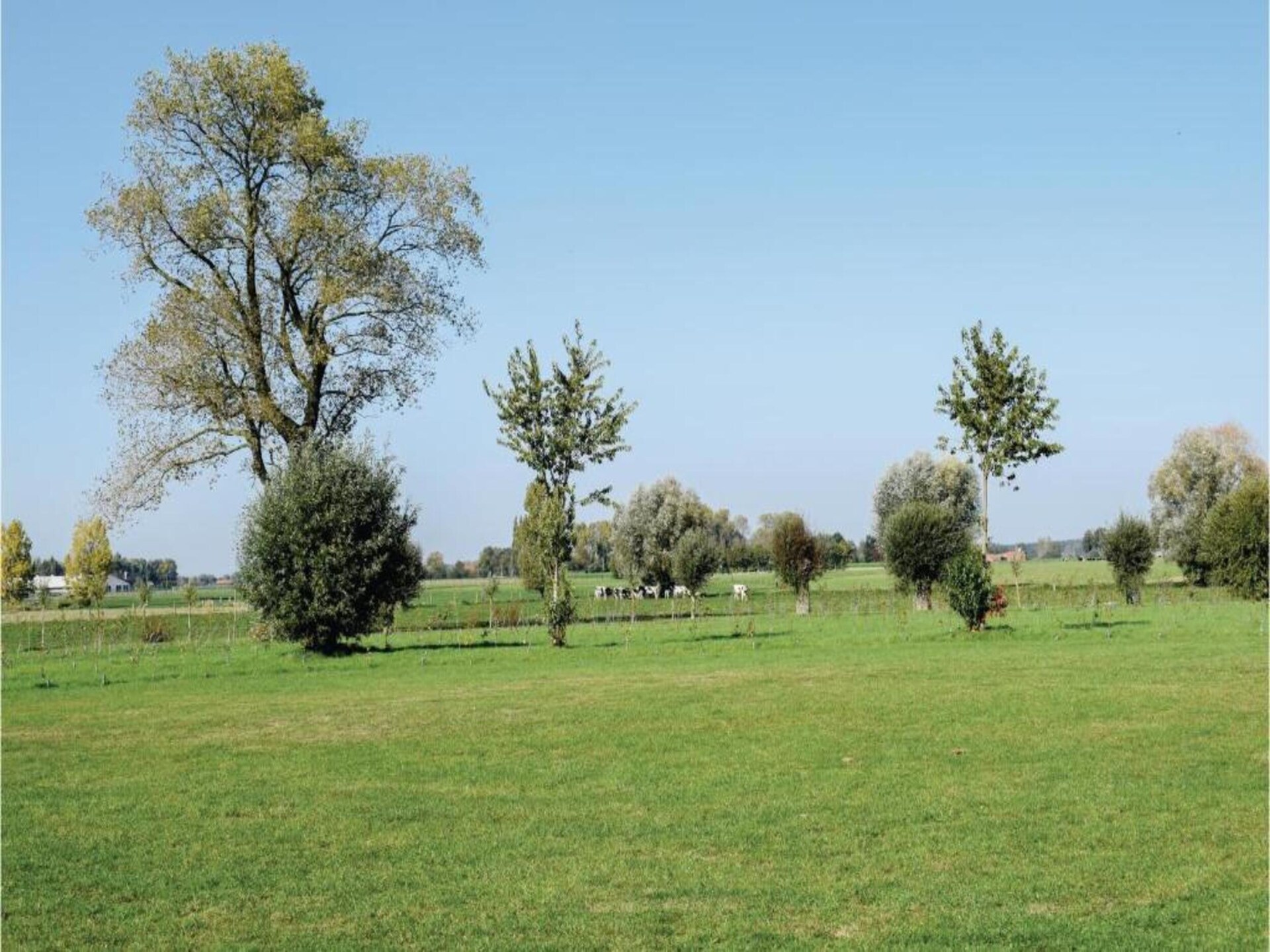 In het centrum van Ieper: modern 2-persoons appartement met eigen tuin - foto 28