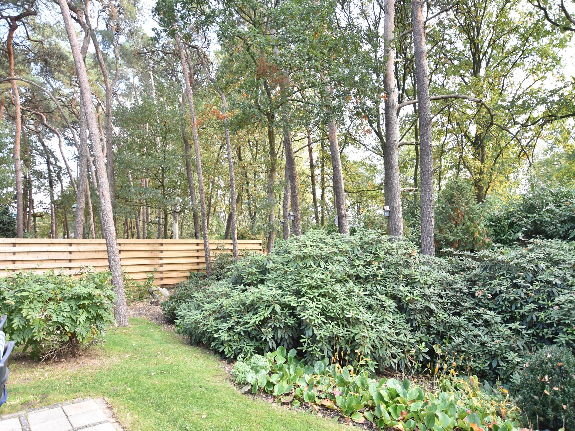 Luxe vrijstaande wellnessbungalow met serre aan de rand van Twente - foto 24
