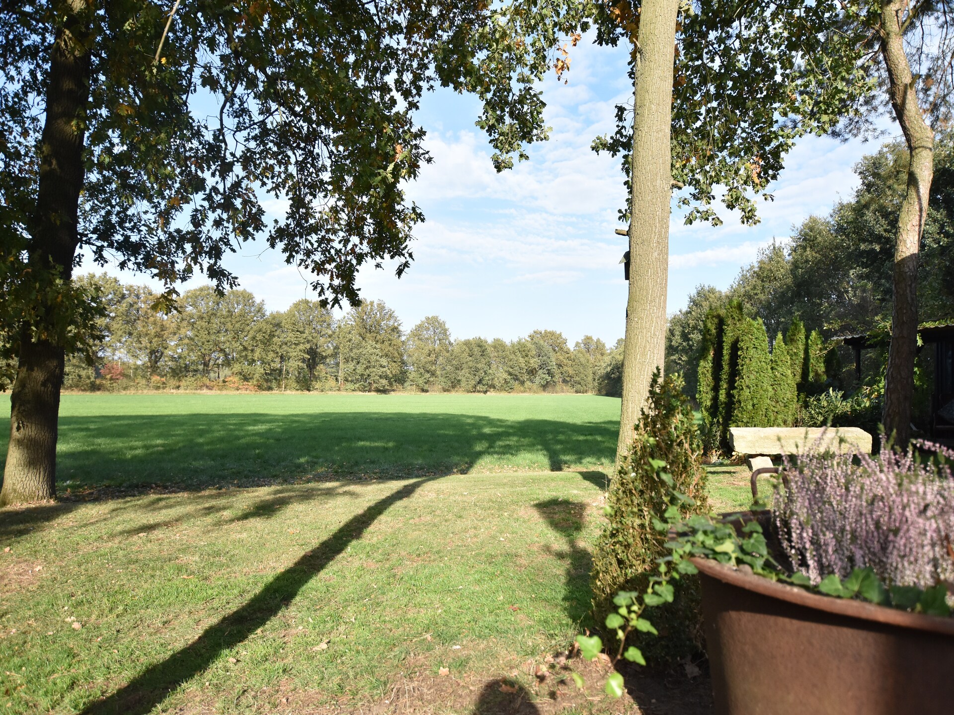 Luxe vrijstaande wellnessbungalow met serre aan de rand van Twente - foto 39