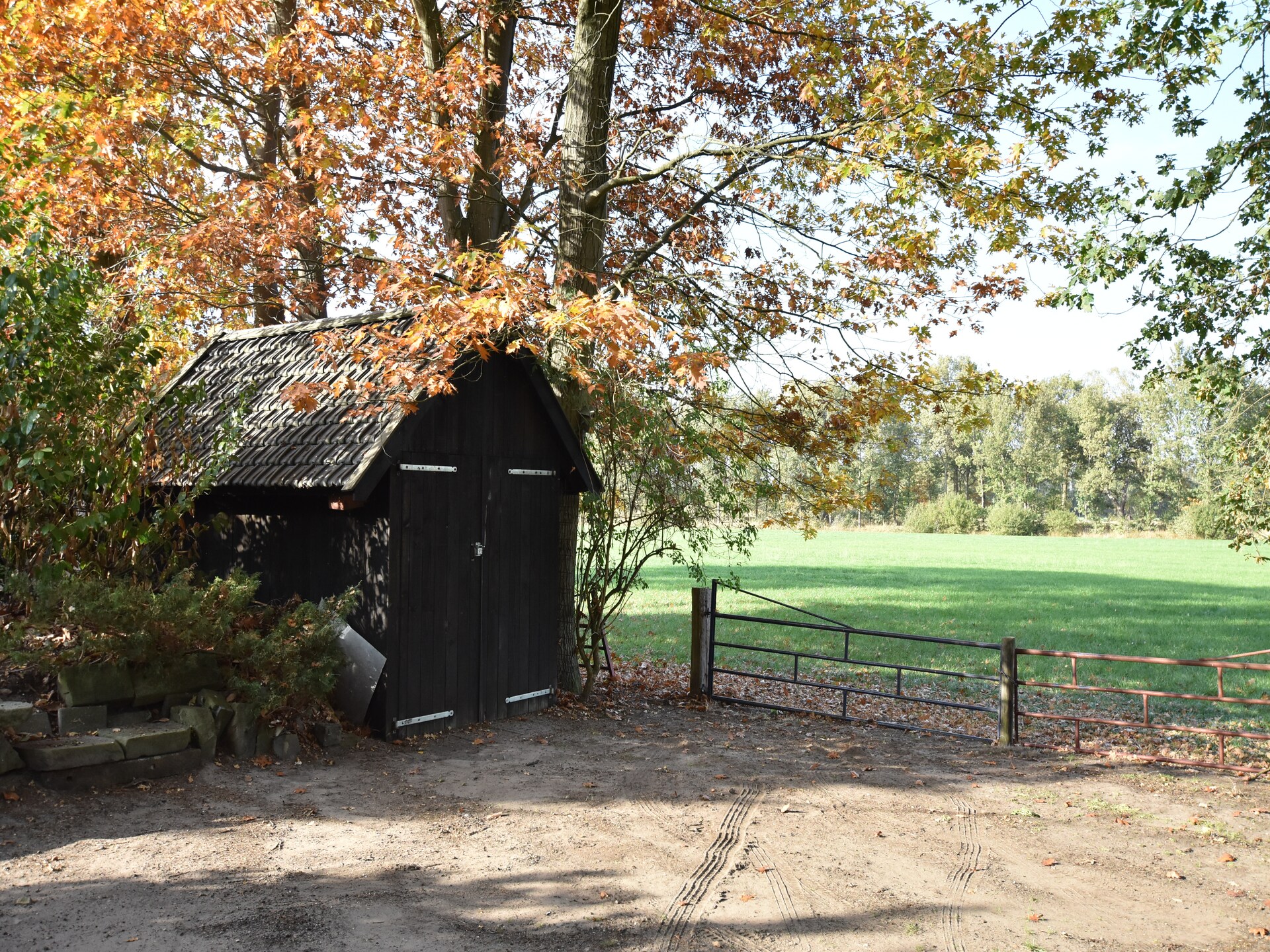 Luxe vrijstaande wellnessbungalow met serre aan de rand van Twente - foto 27