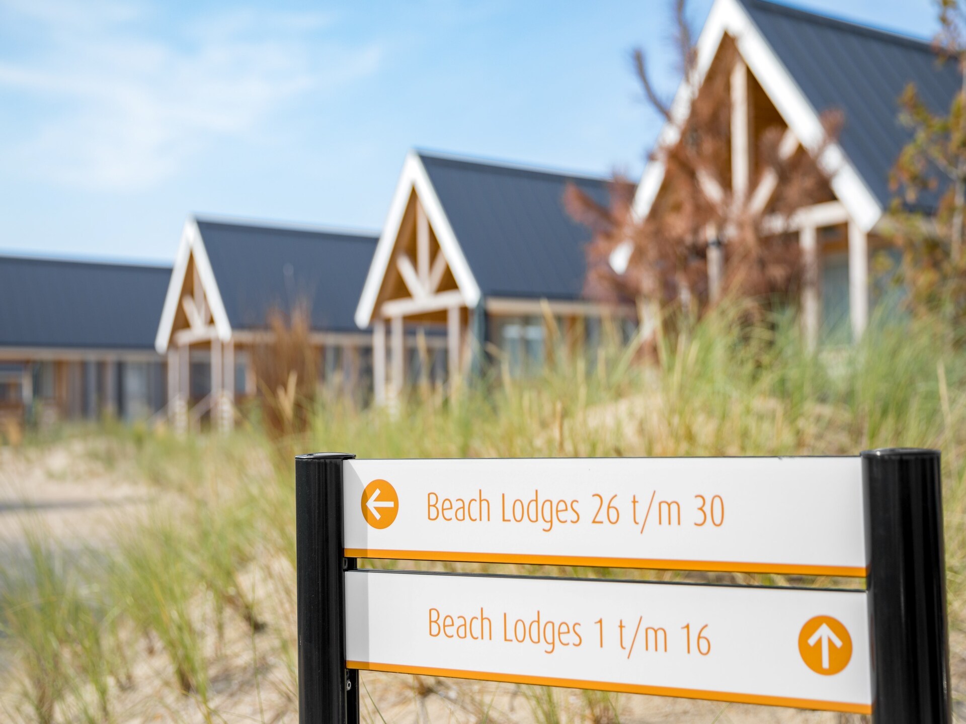 Moderne duinvilla met sauna, 10 minuten van het strand - foto 39