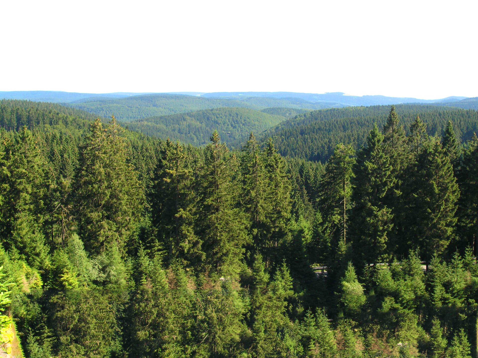 Knus appartement in Frauenwald aan het Thüringer Woud, 100m van skilift - foto 17