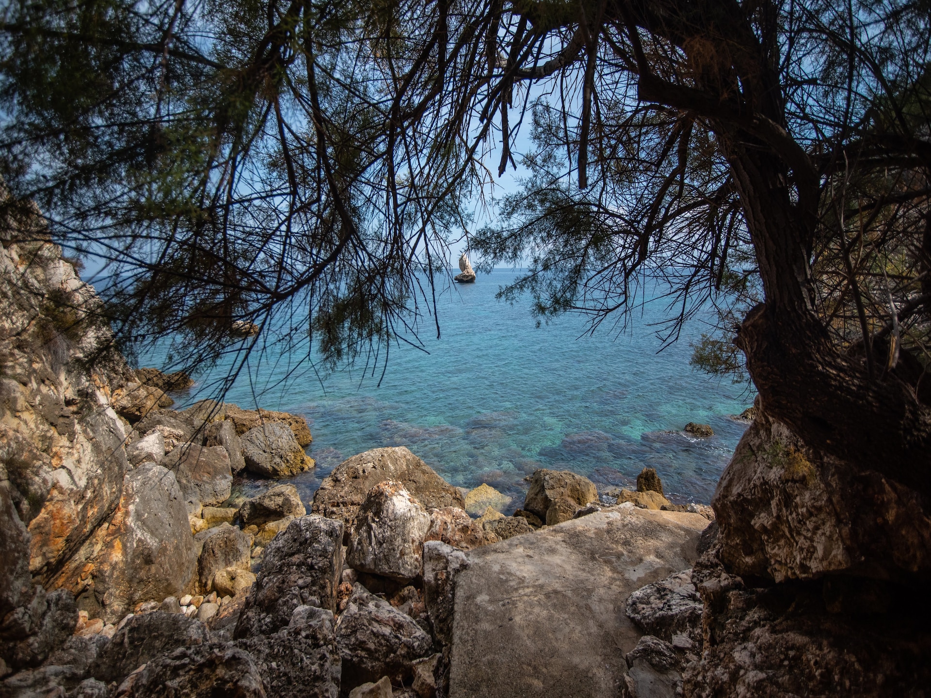 La Vela Nove - foto 38