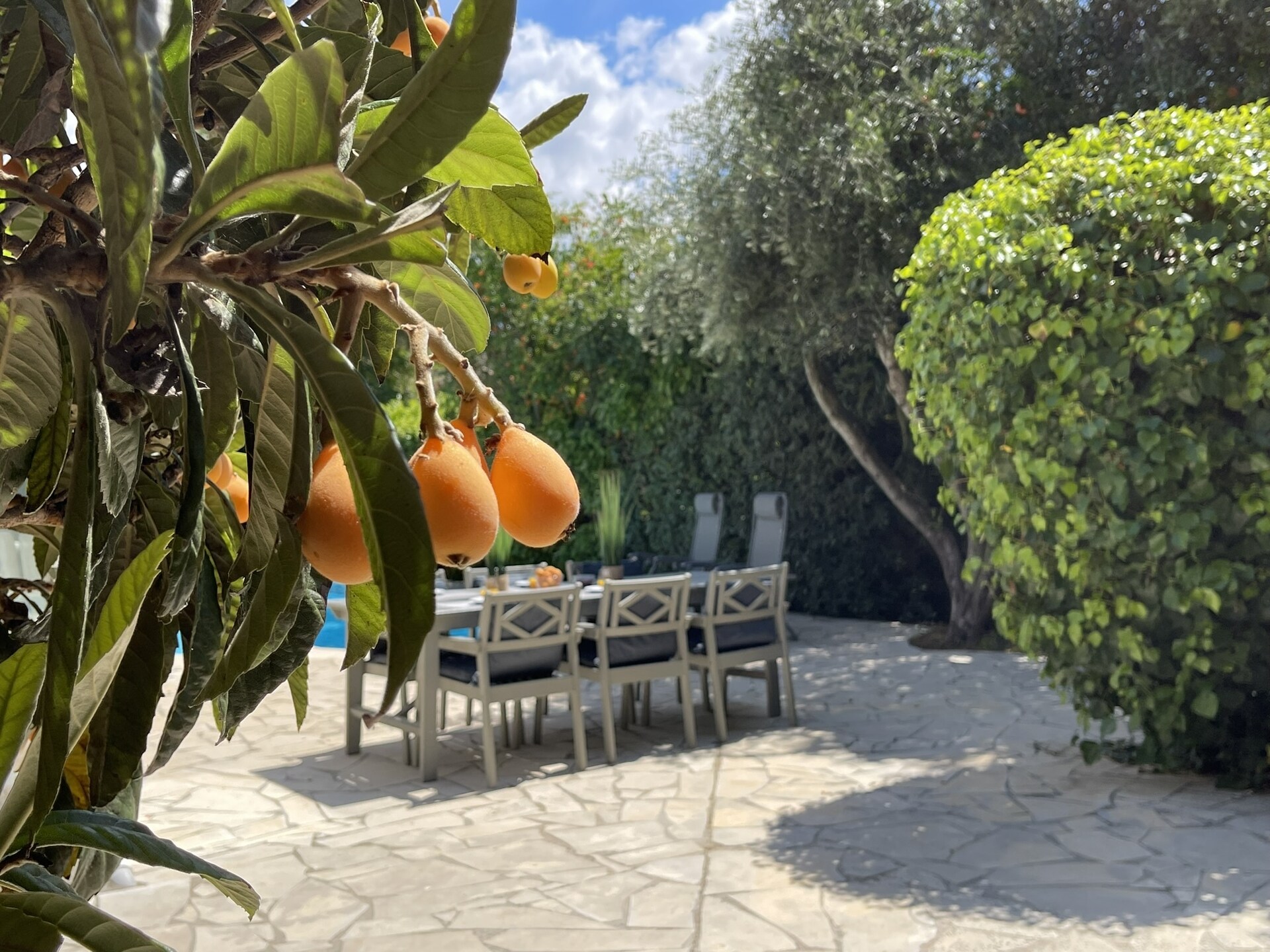 Villa Le Bon met privézwembad nabij Carcassonne - foto 24