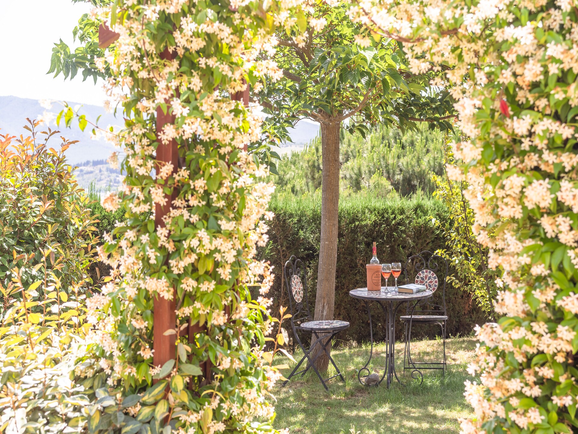 Villa Tranquille: Luxe villa met privézwembad en panoramisch uitzicht in Limoux - foto 38