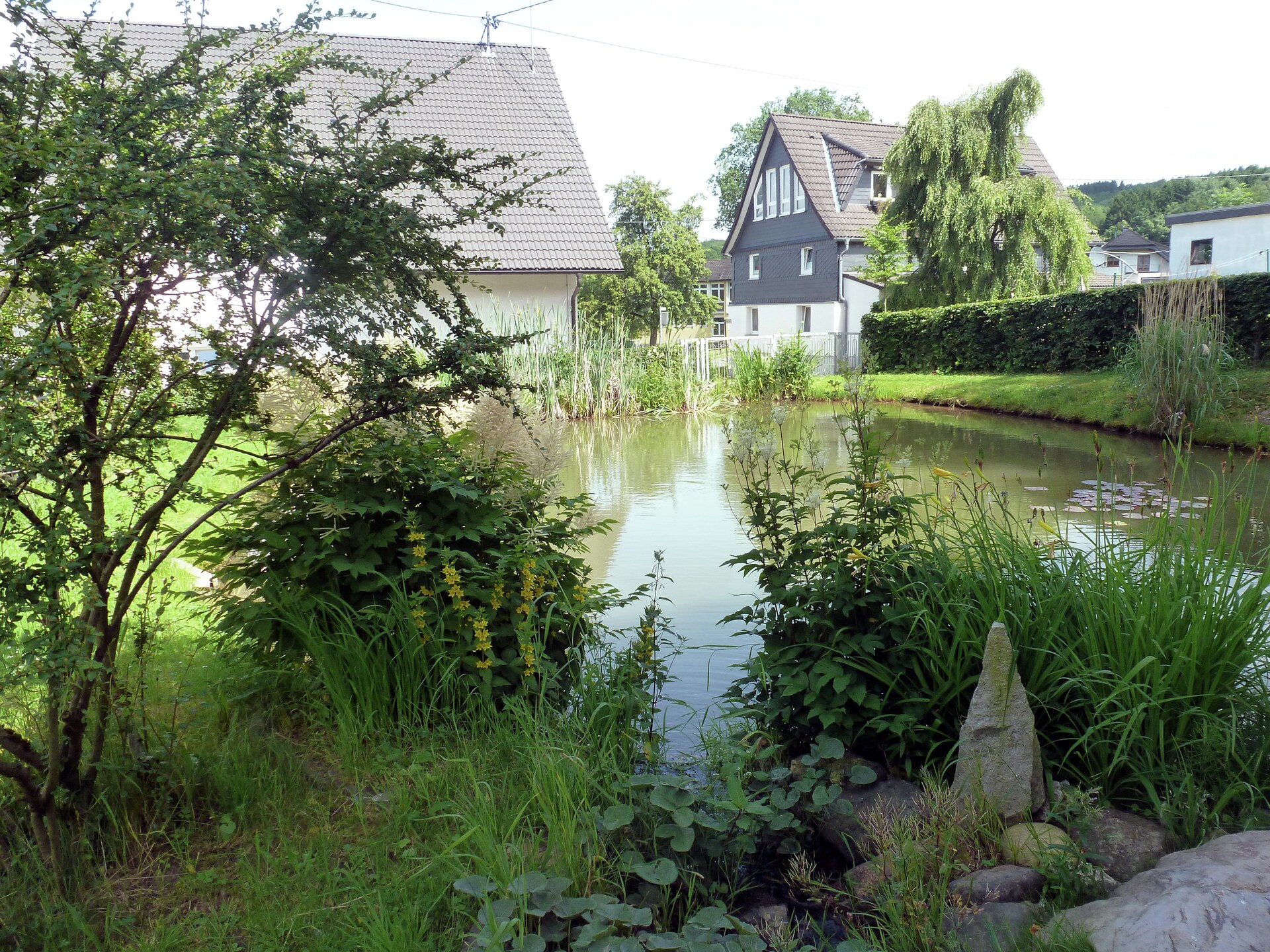 Modern bosappartement met tuin aan de vijver in Kirchhundem-Brachthausen - foto 23