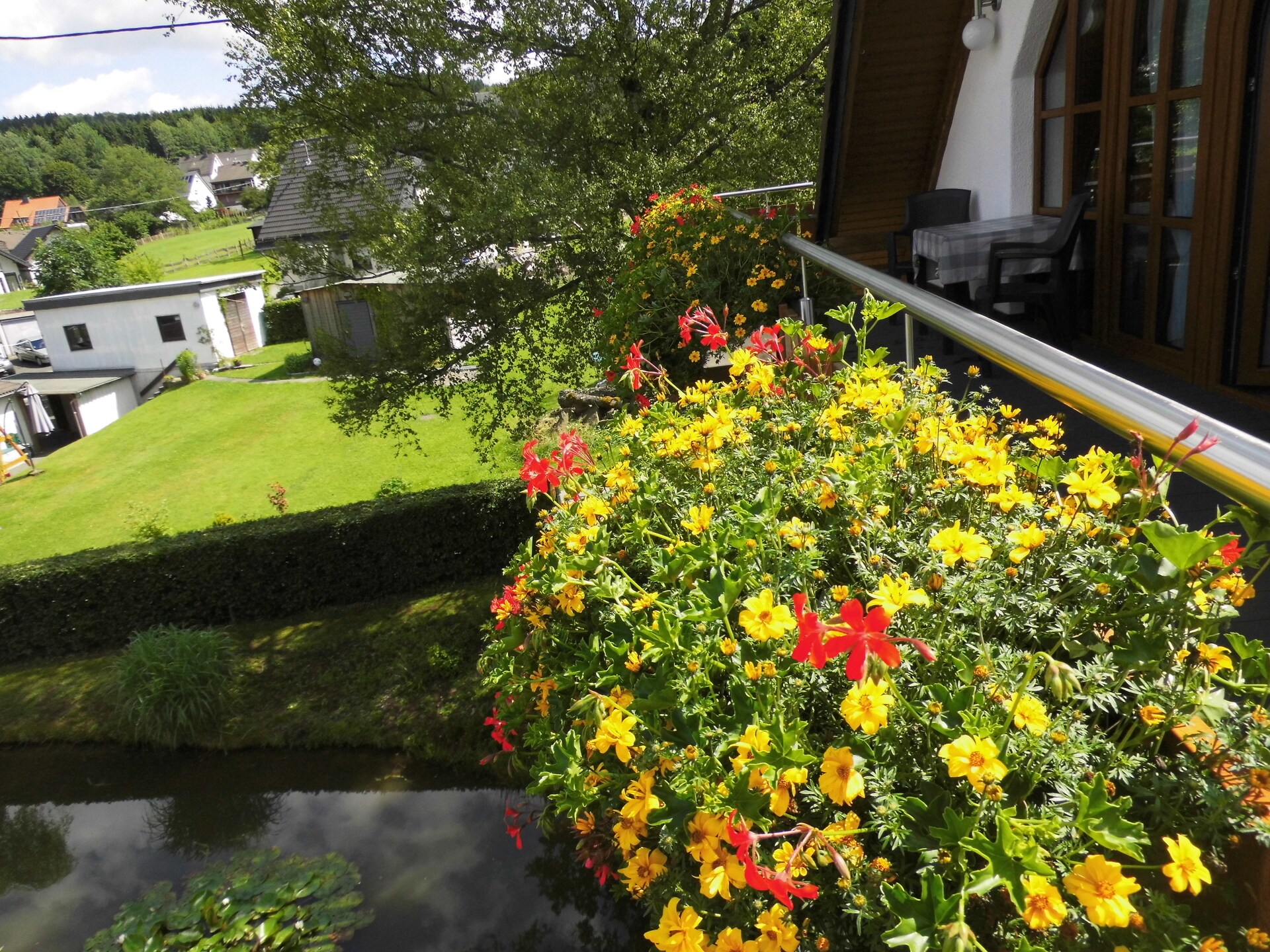 Modern bosappartement met tuin aan de vijver in Kirchhundem-Brachthausen - foto 29