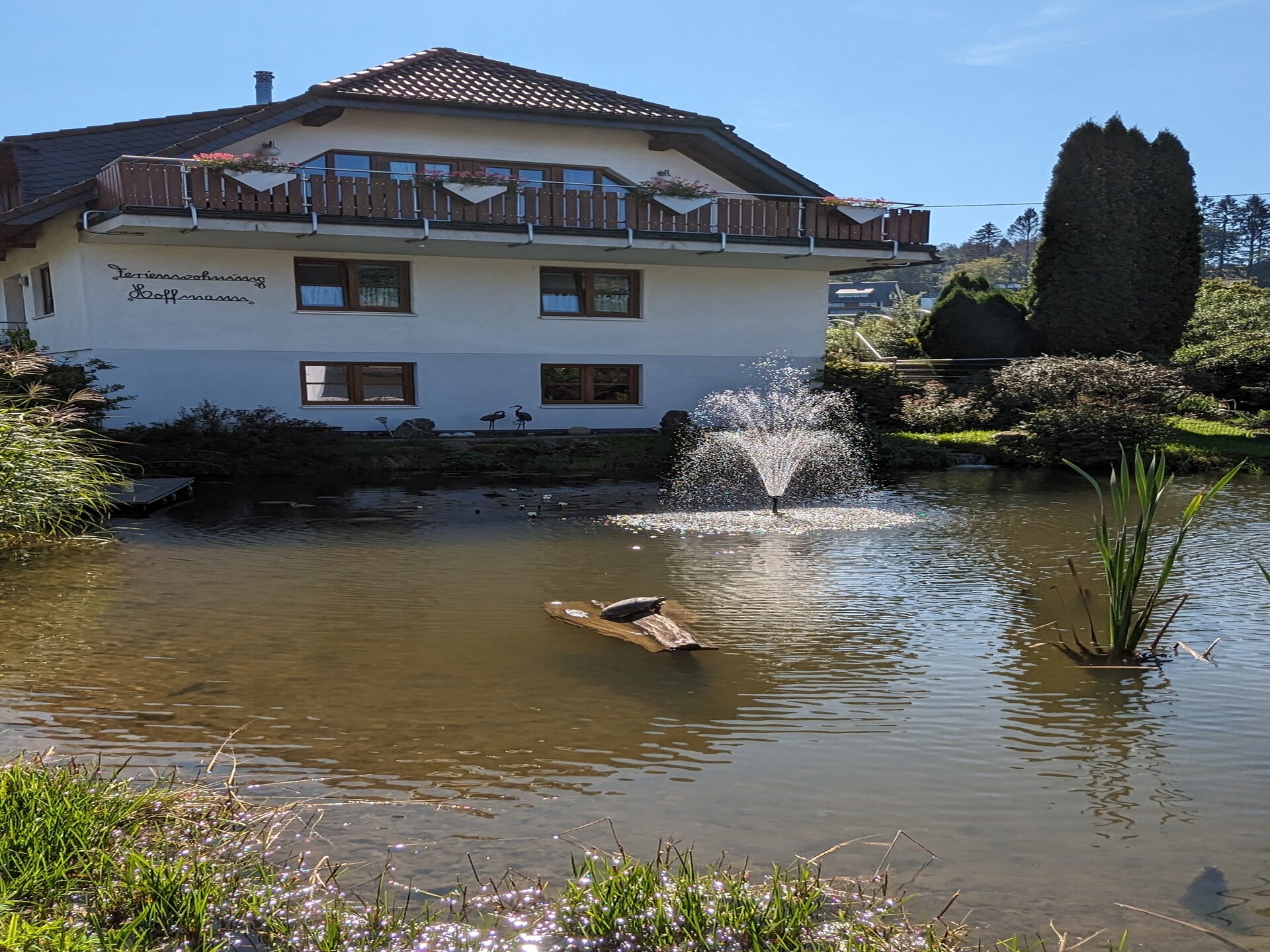Modern bosappartement met tuin aan de vijver in Kirchhundem-Brachthausen - foto 26