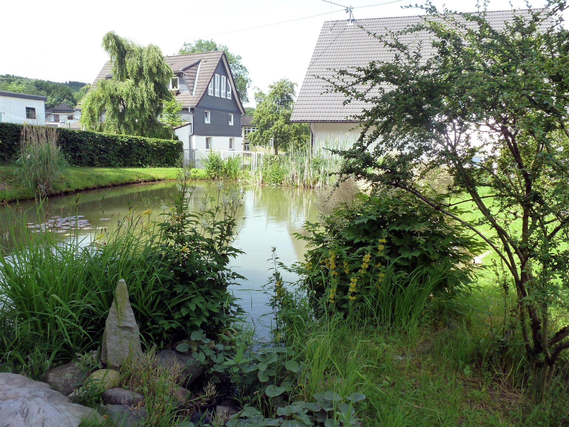 Modern bosappartement met tuin aan de vijver in Kirchhundem-Brachthausen - foto 30