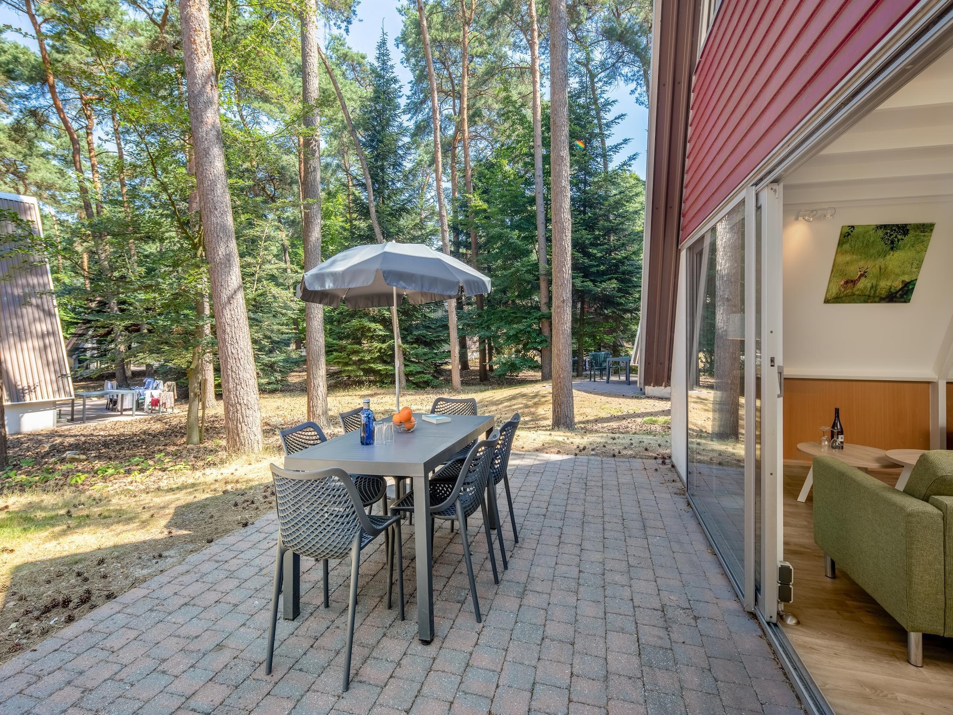 Vrijstaande familiebungalow in bosrijk Brabant met hondvriendelijk terras - foto 10