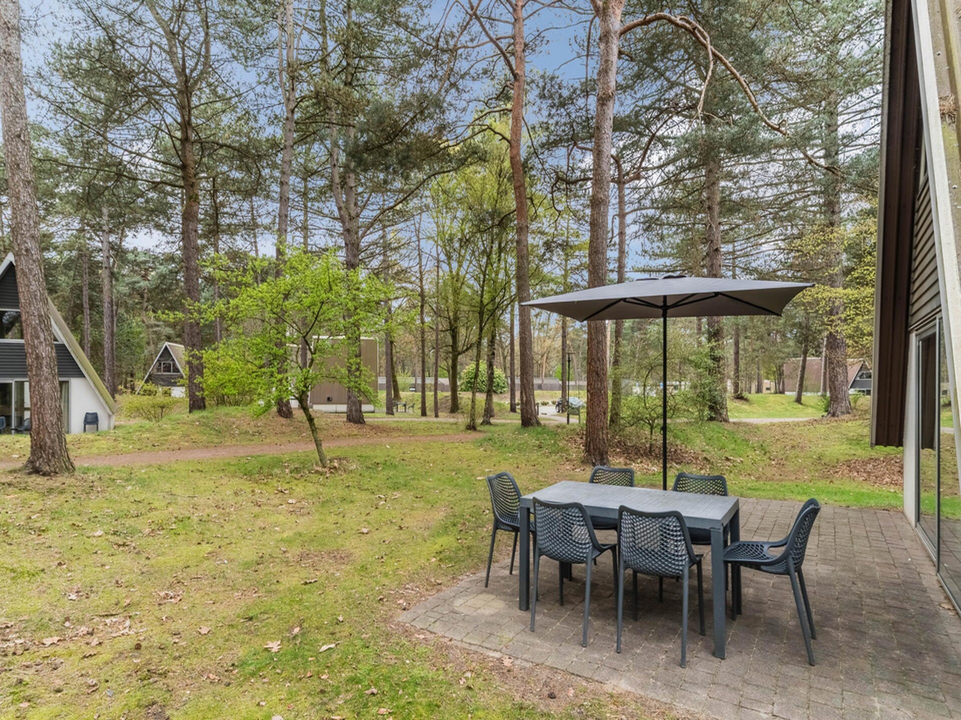 Vrijstaande familiebungalow in bosrijk Brabant met hondvriendelijk terras - foto 9