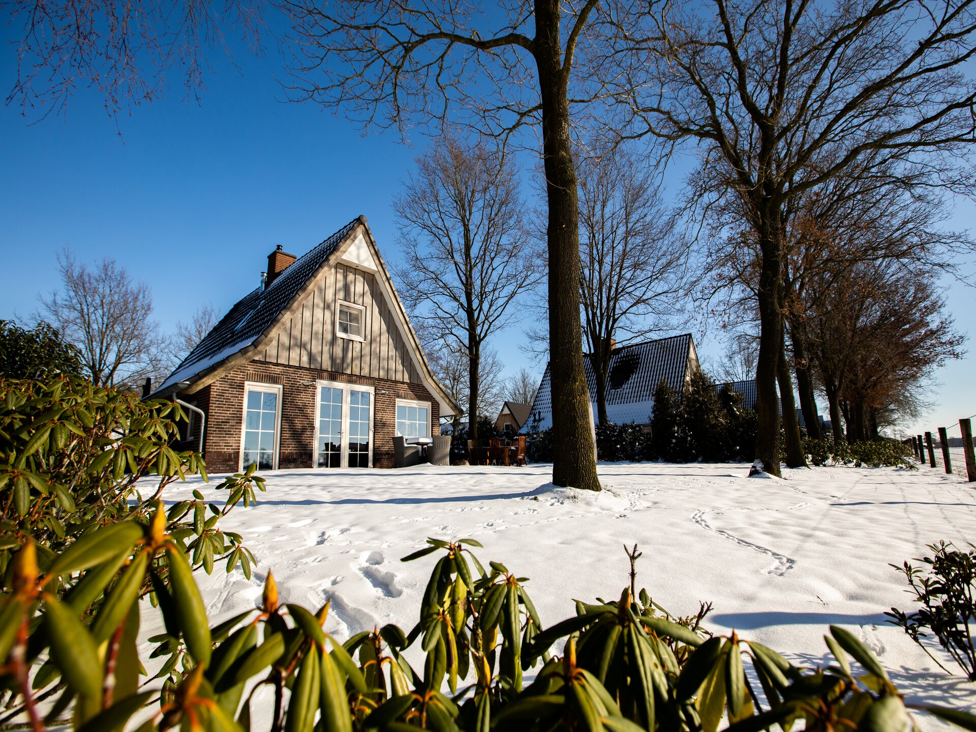 Wellnessvilla Hof van Salland: luxe, natuur en ontspanning in Twente - foto 39
