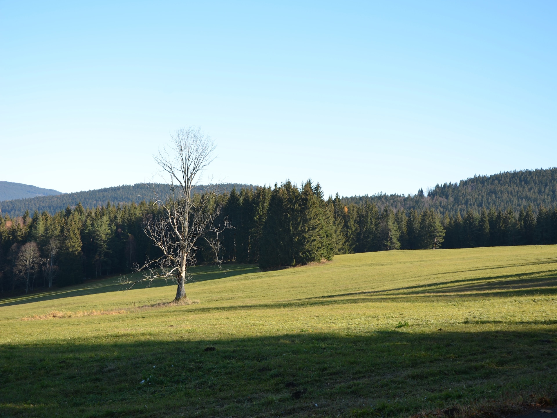 Op 600 m van de piste: gezellig vakantiehuis in Zelezná Ruda - foto 19