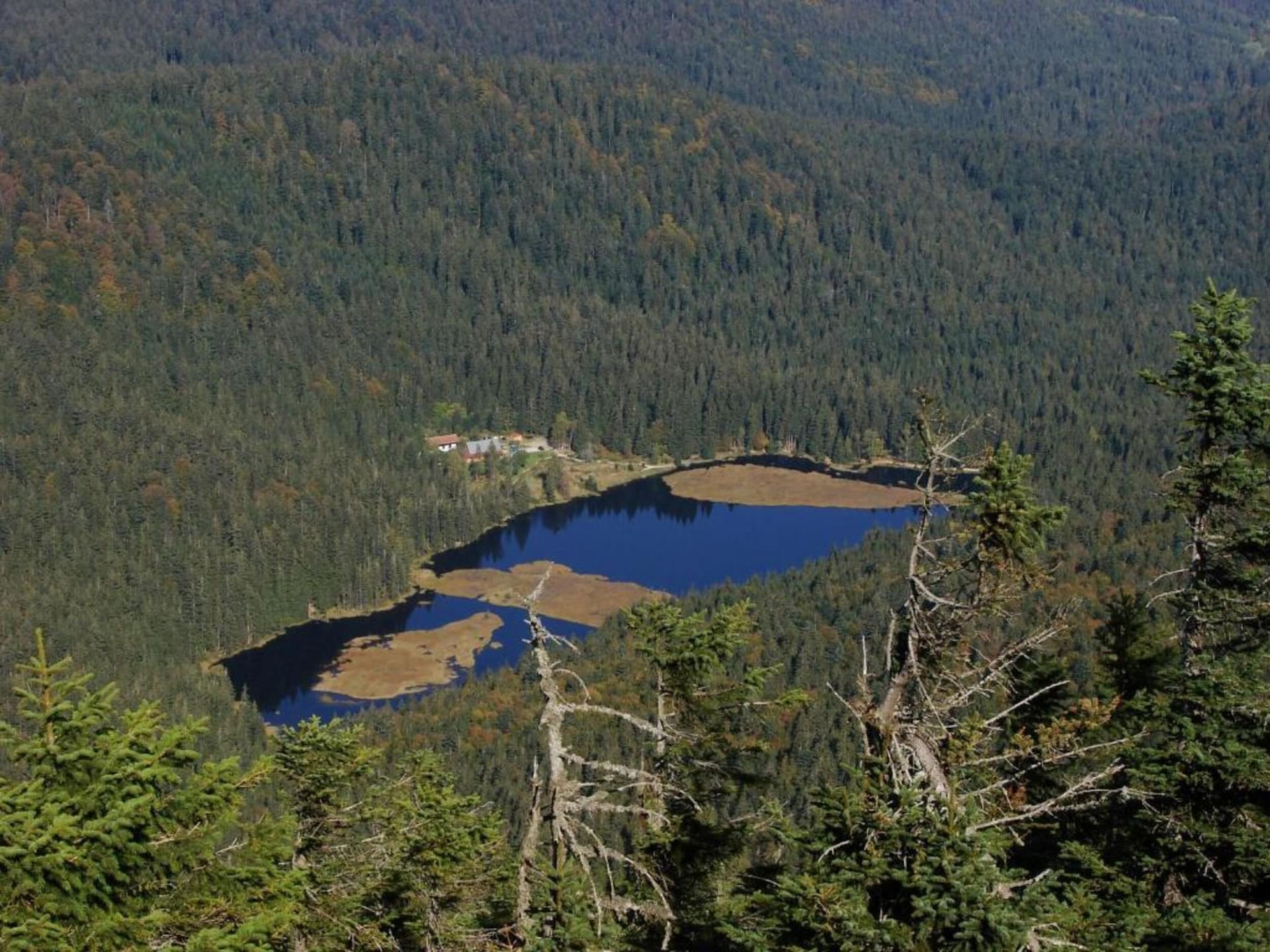 Op 600 m van de piste: gezellig vakantiehuis in Zelezná Ruda - foto 29