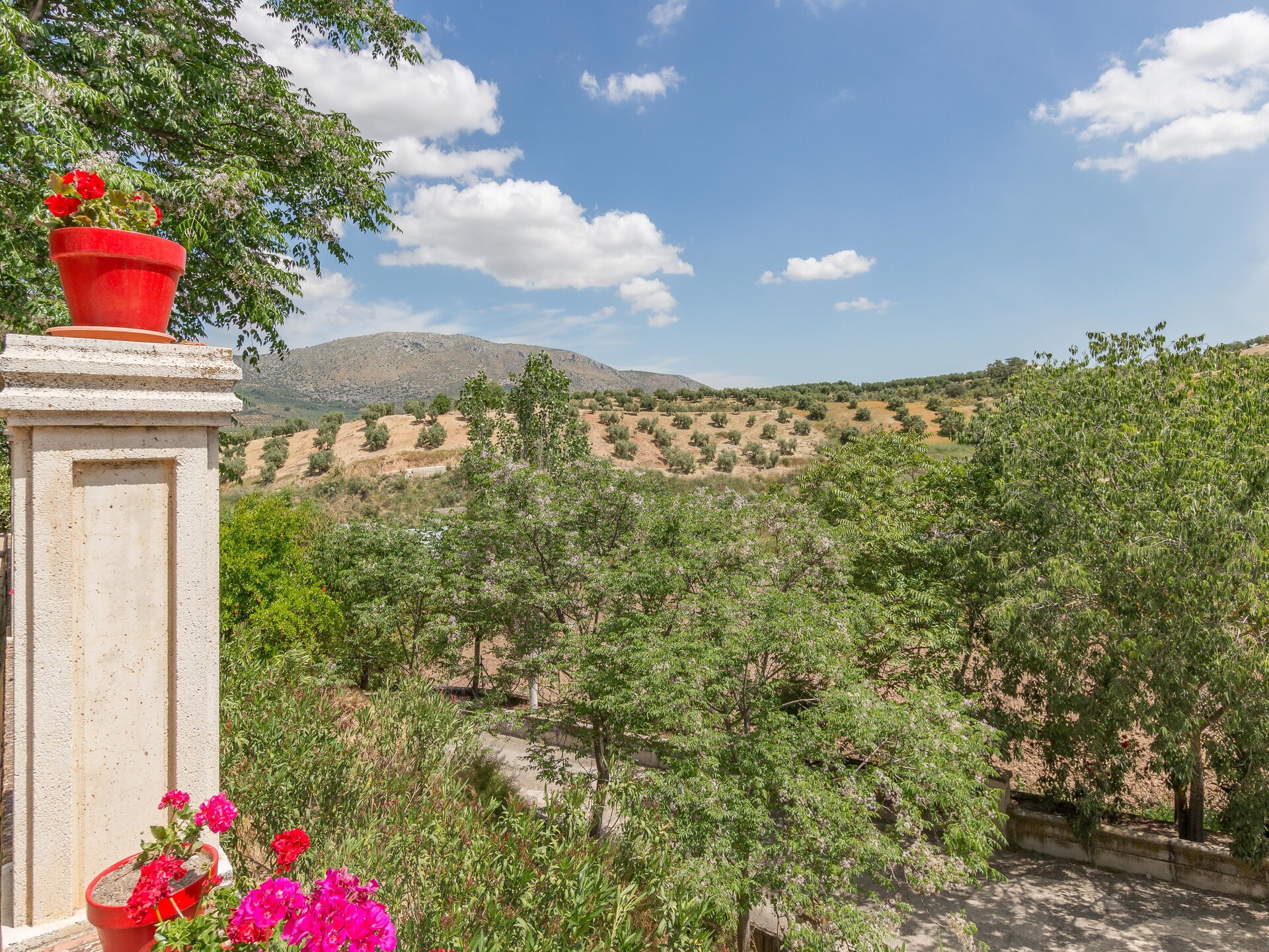 Statige villa met privézwembad op rustiek landgoed bij Priego de Córdoba - foto 8