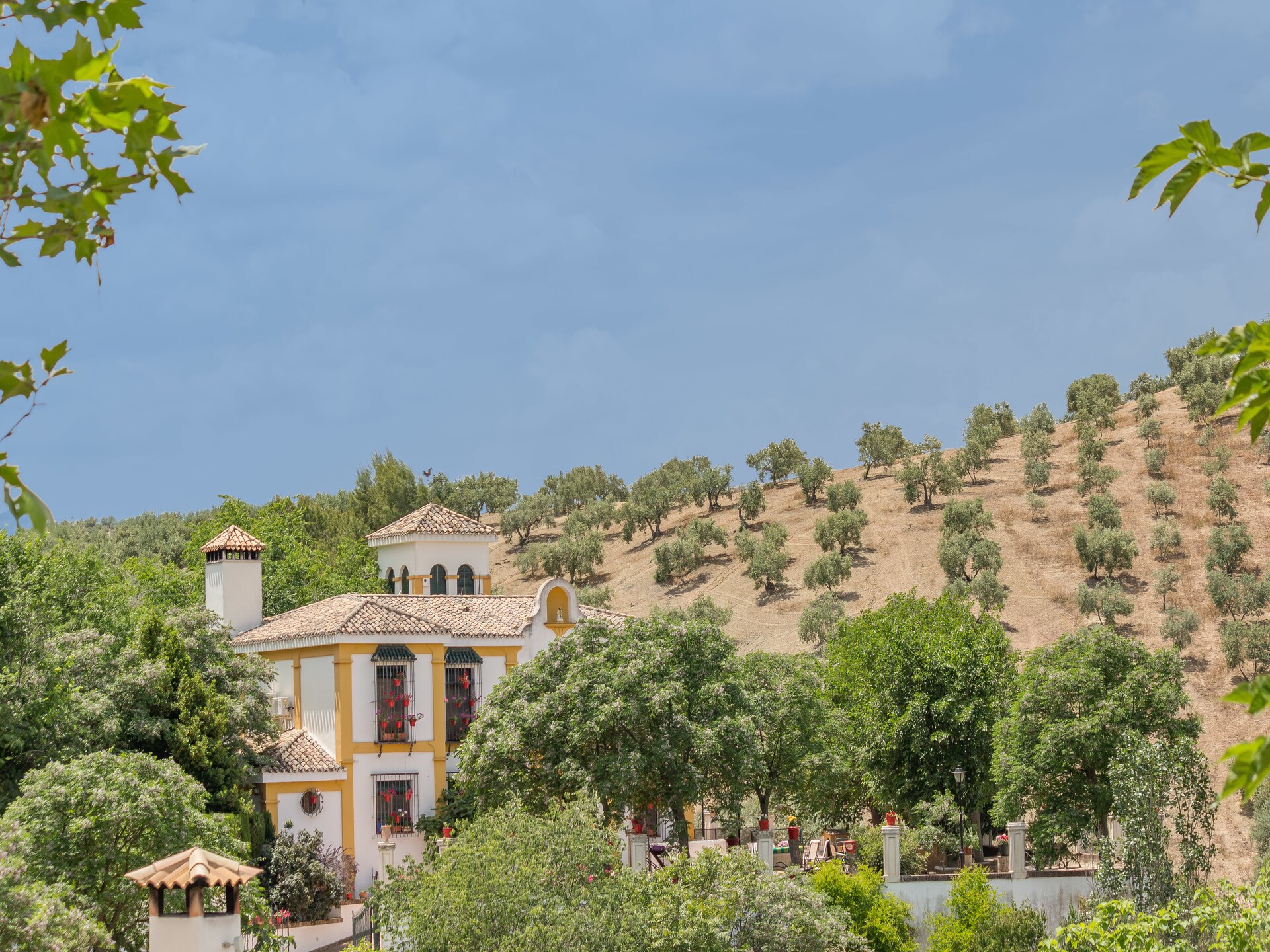 Statige villa met privézwembad op rustiek landgoed bij Priego de Córdoba - foto 19