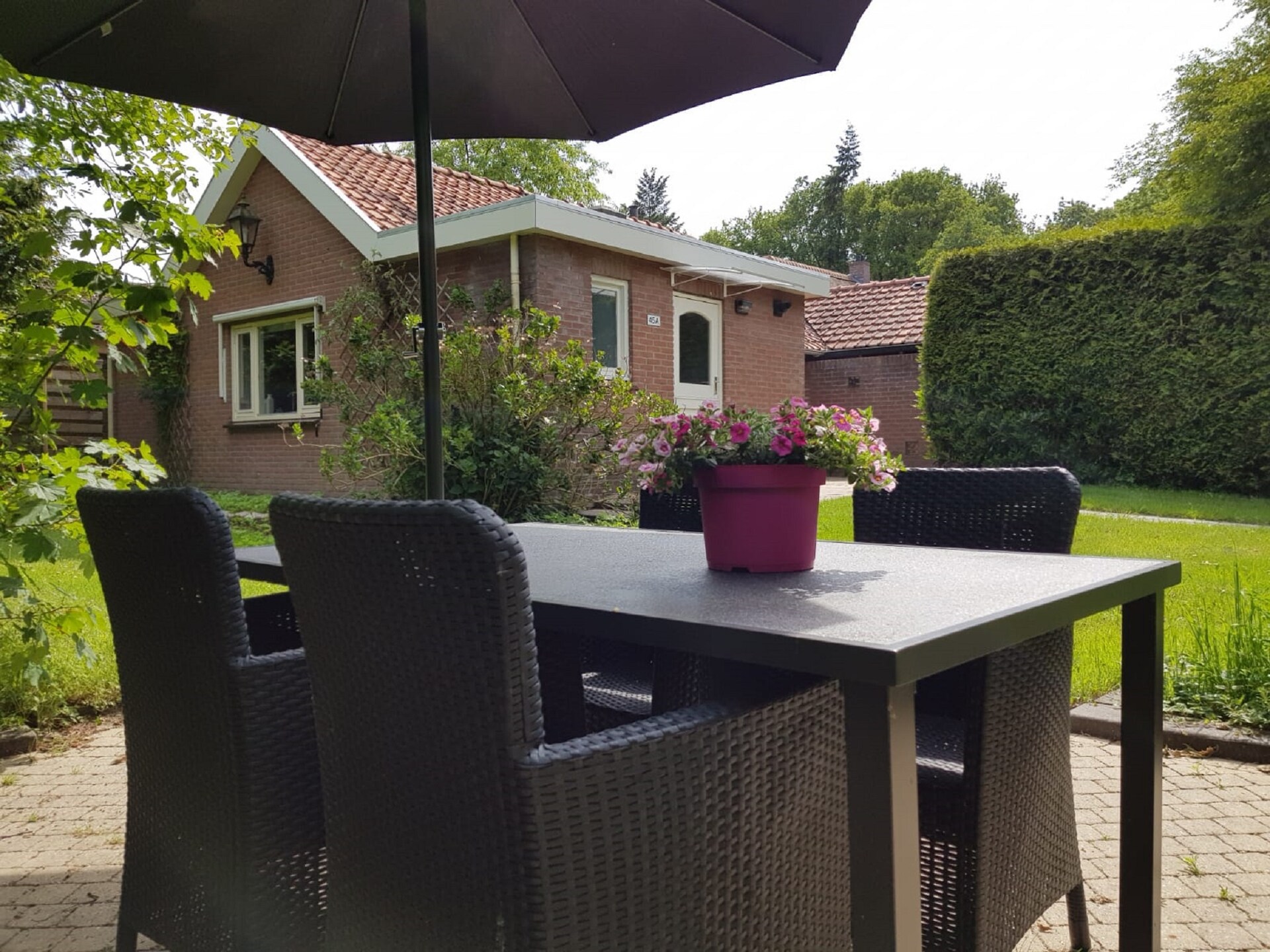 Knus vakantiehuisje Veluwse Mus aan de bossen van Garderen - foto 18