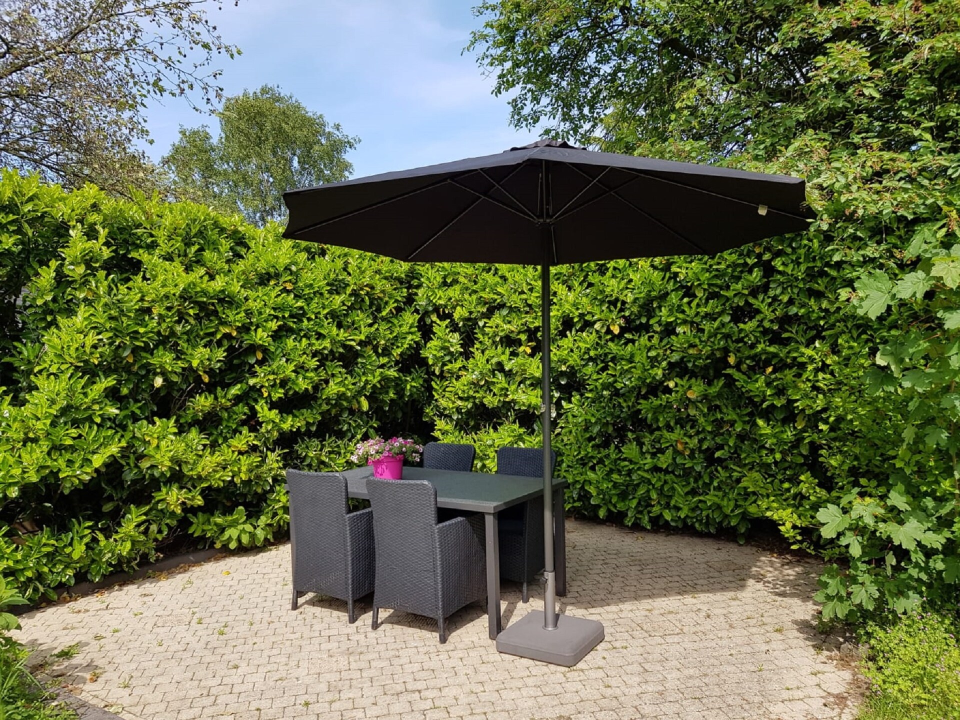 Knus vakantiehuisje Veluwse Mus aan de bossen van Garderen - foto 20