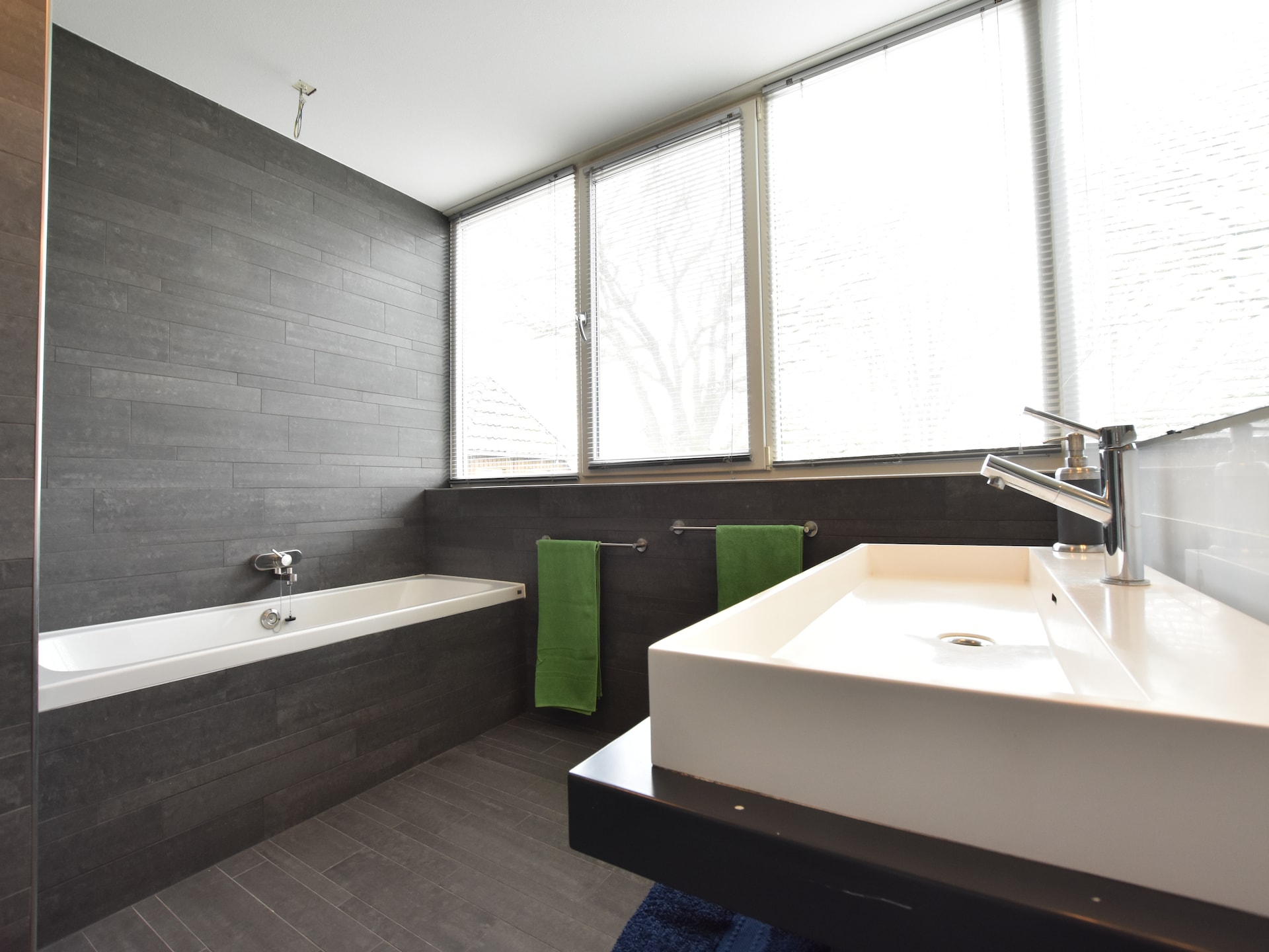 Villa Luttenberg: wellnessvilla met sauna aan de rand van Nationaal Park - foto 13