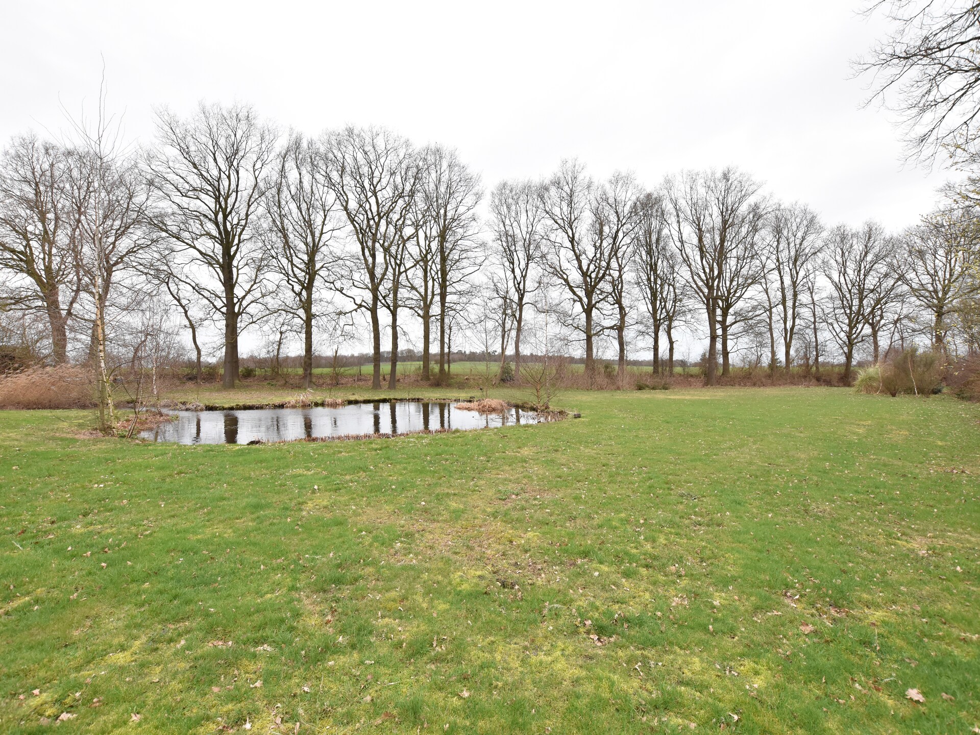 Villa Luttenberg: wellnessvilla met sauna aan de rand van Nationaal Park - foto 38