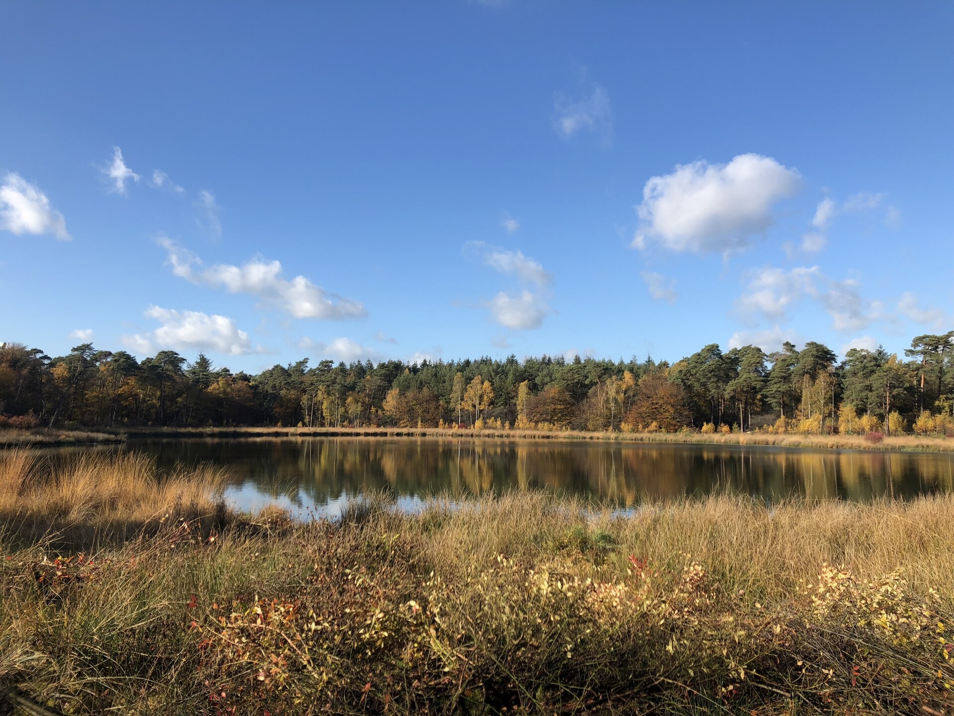 Villa Luttenberg: wellnessvilla met sauna aan de rand van Nationaal Park - foto 17