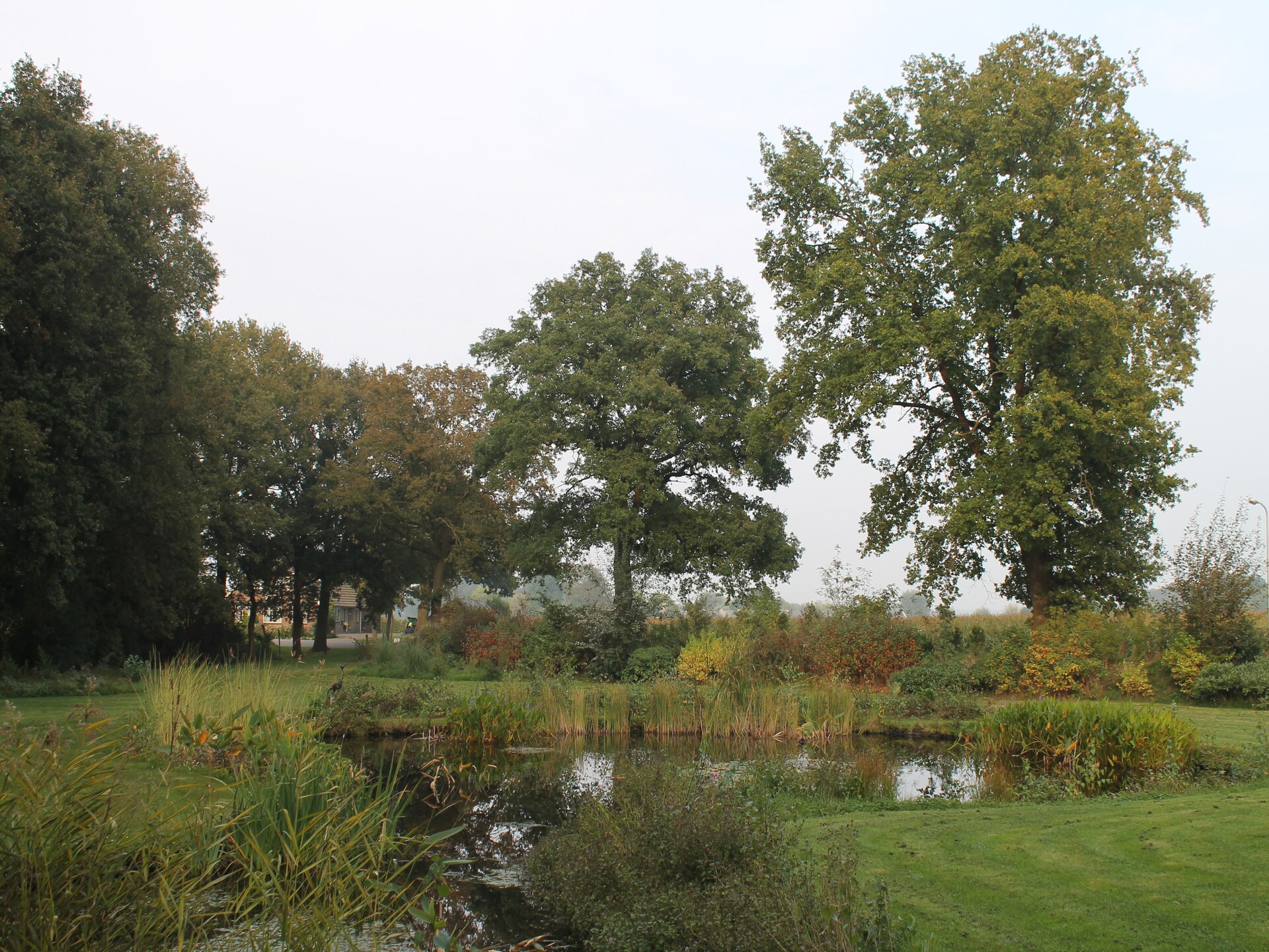 Villa Luttenberg: wellnessvilla met sauna aan de rand van Nationaal Park - foto 39