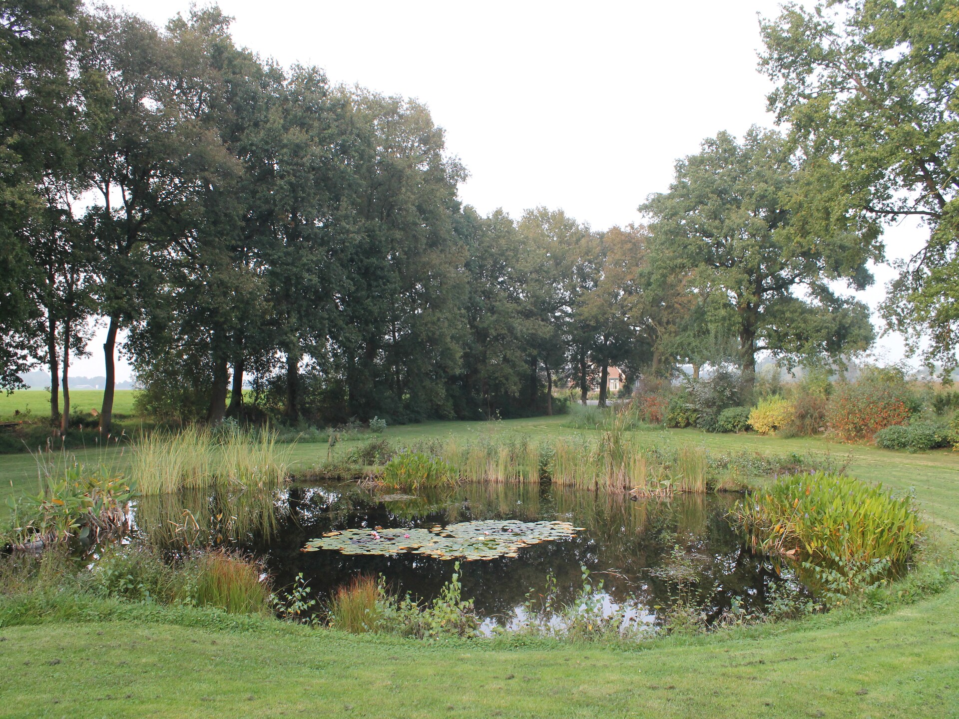 Villa Luttenberg: wellnessvilla met sauna aan de rand van Nationaal Park - foto 15