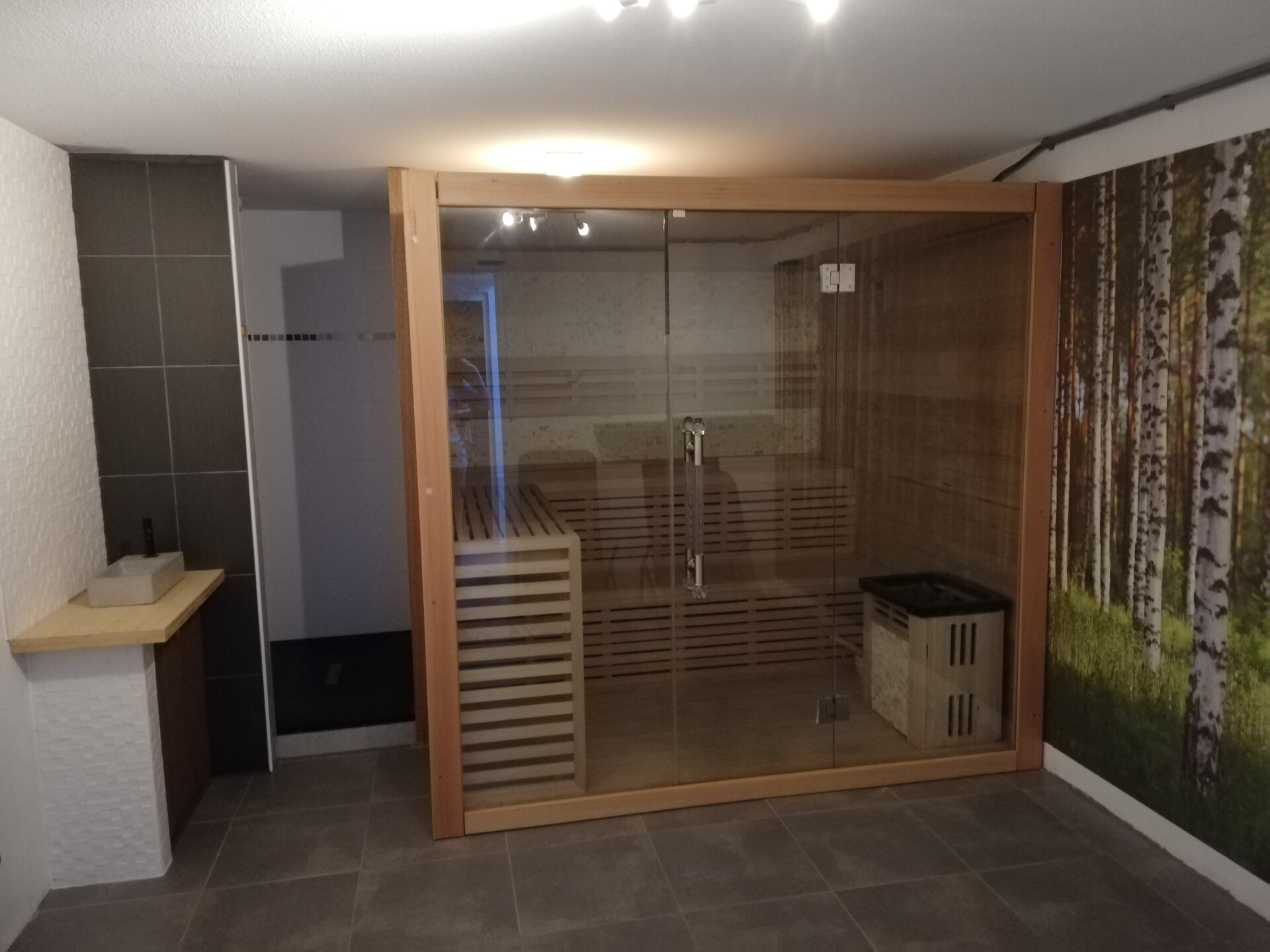 Villa Luttenberg: wellnessvilla met sauna aan de rand van Nationaal Park - foto 21