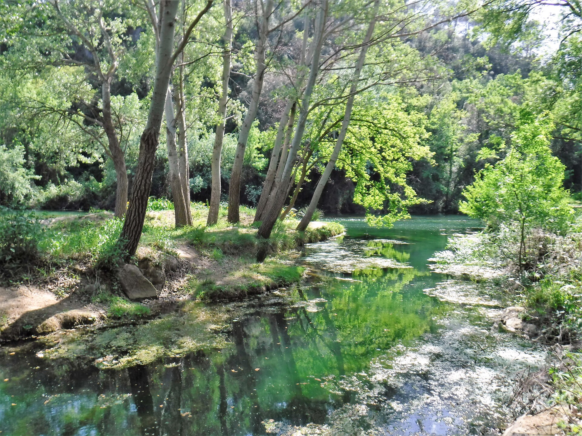 Vrijstaand vakantiehuis met privézwembad aan de golfbaan in Brignoles - foto 21
