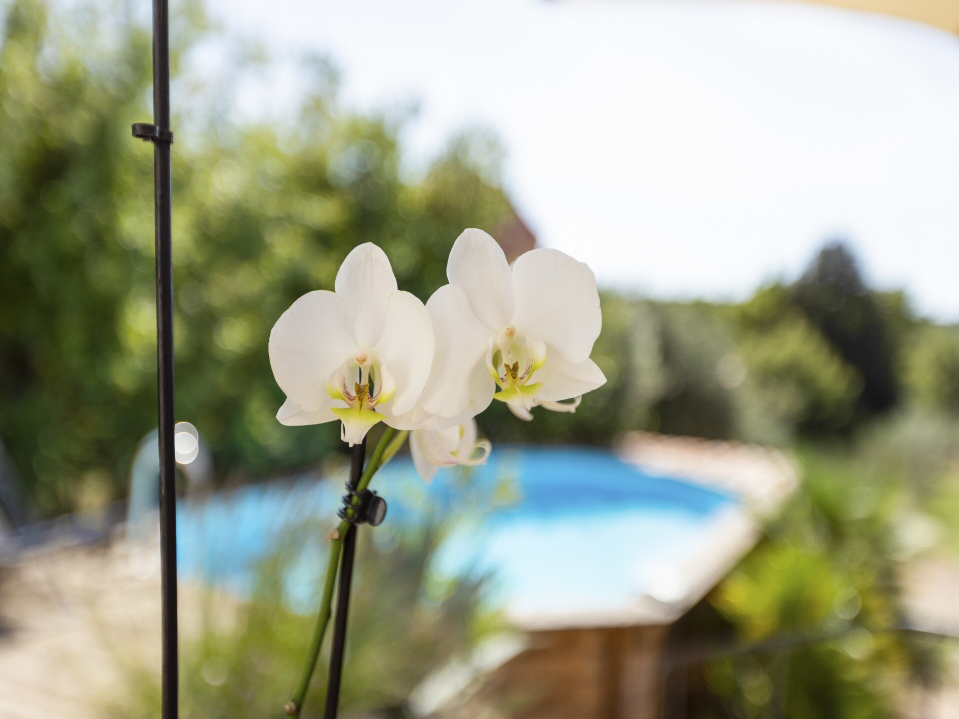 Vrijstaand vakantiehuis met privézwembad aan de golfbaan in Brignoles - foto 27