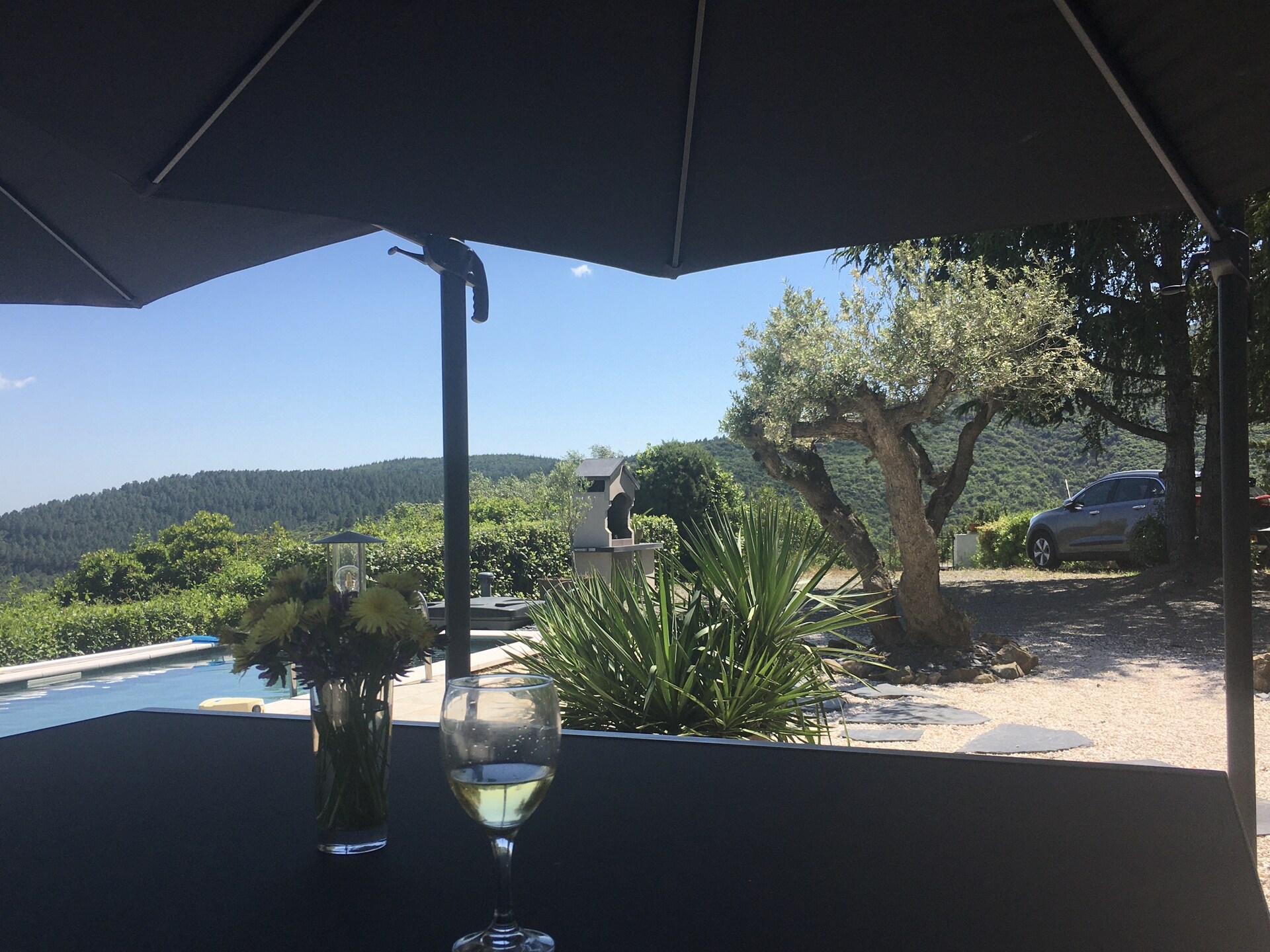 Villa Les Mûriers: luxe vakantiehuis met privézwembad in de wijngaarden van Languedoc - foto 28