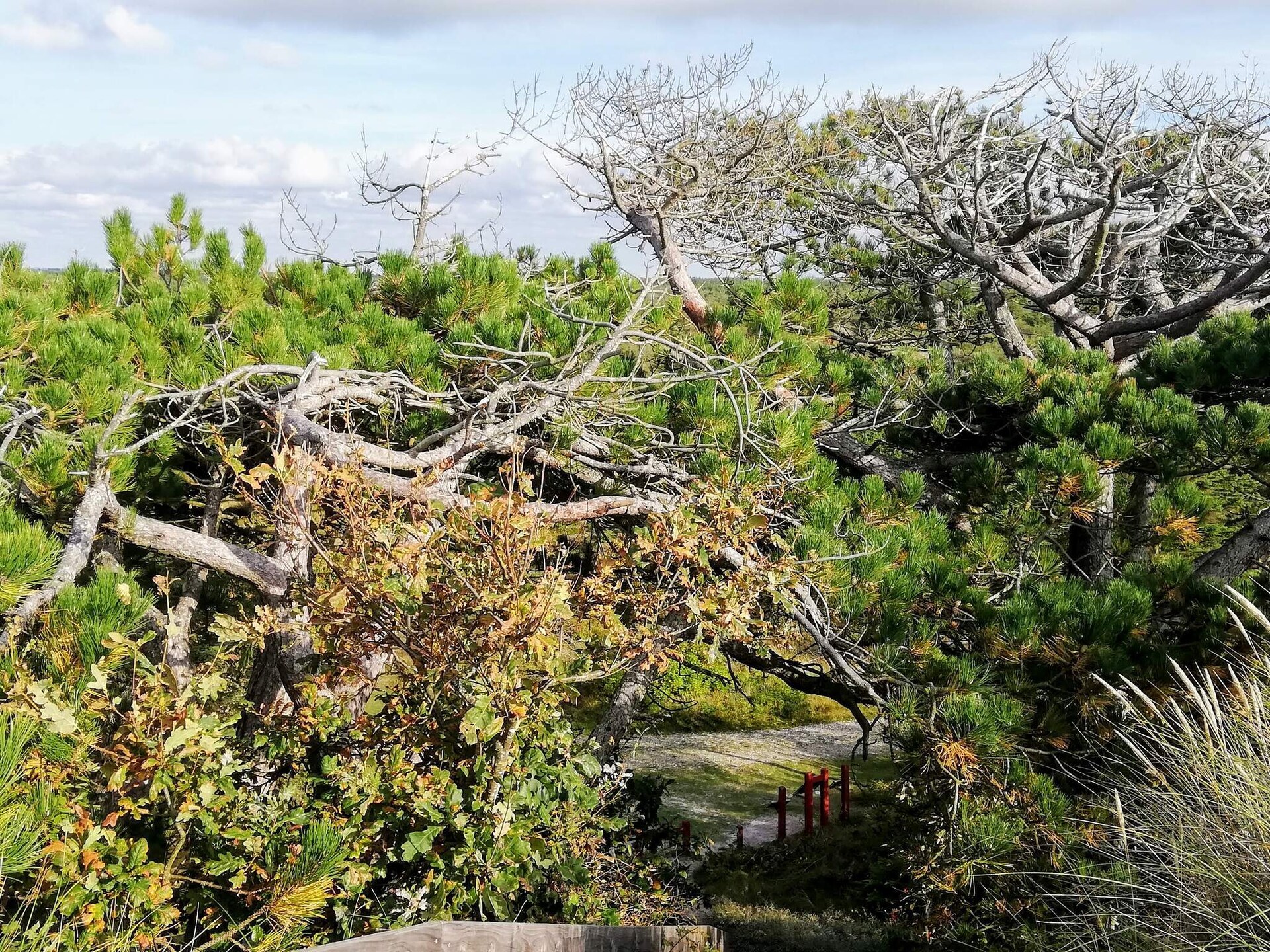 Knus vakantiehuis bij Fjand, 400 meter van zee en fjord - foto 13